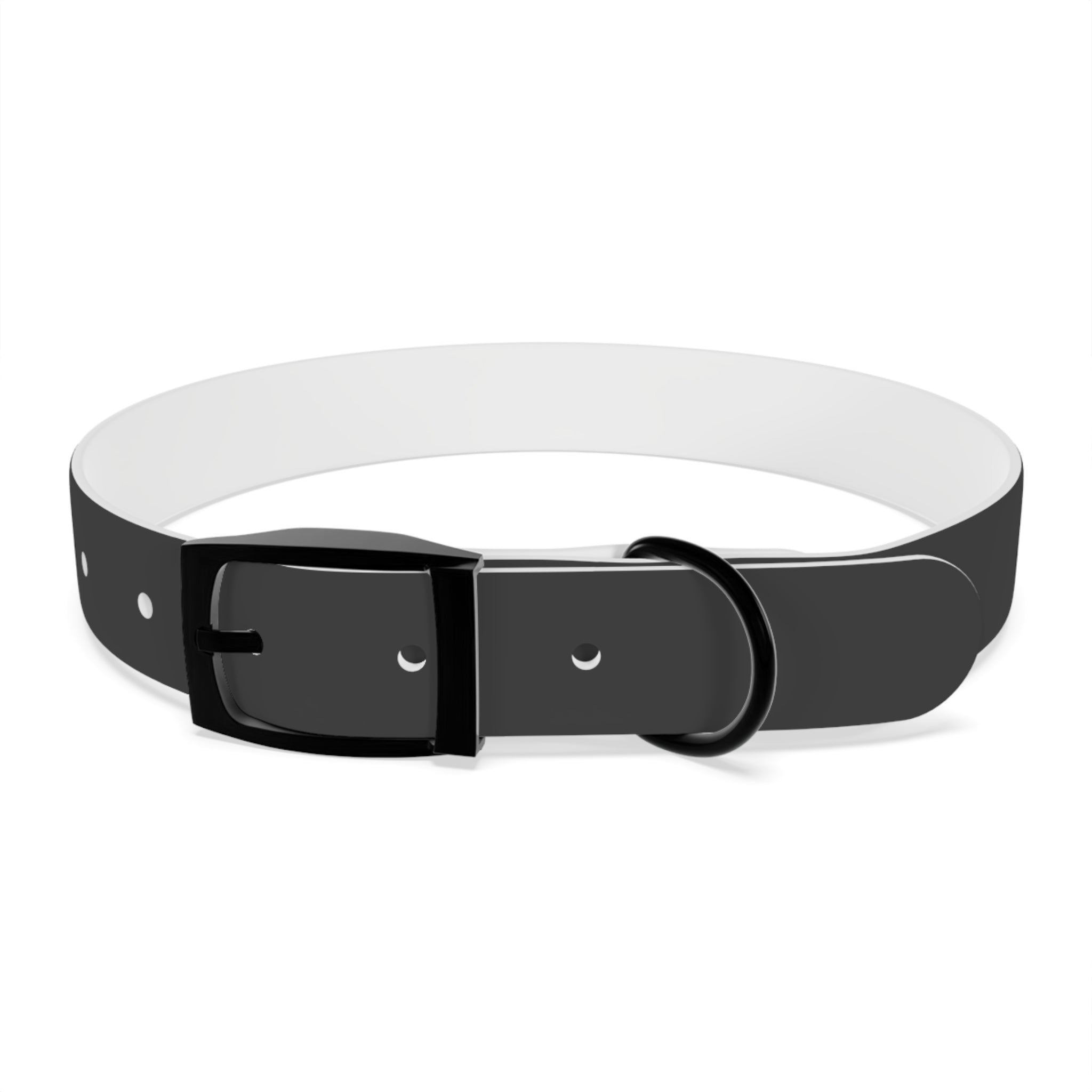 Personalized Dachshund Dog Collar | Custom Name Pet Collar | Sausage Dog Gift