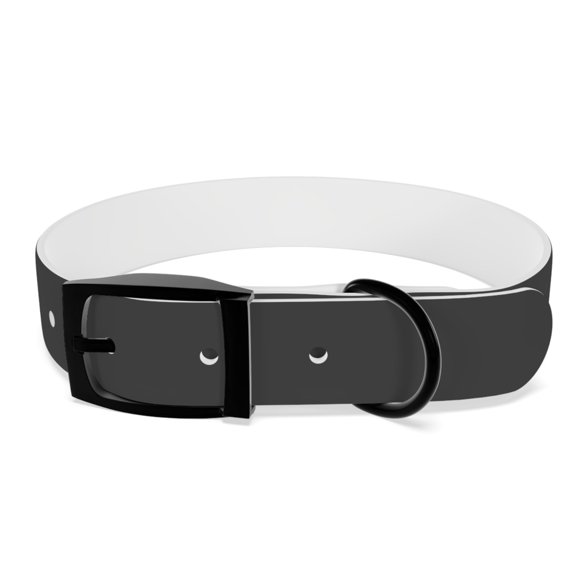 Personalized Dachshund Dog Collar | Custom Name Pet Collar | Sausage Dog Gift