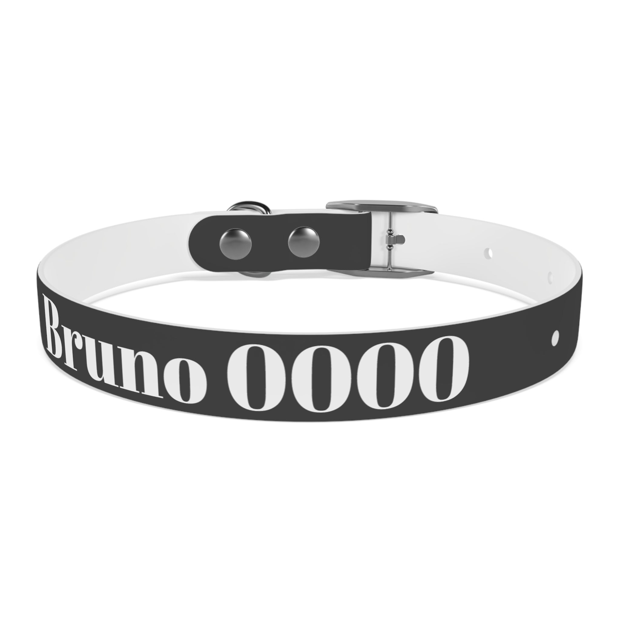 Personalized Dachshund Dog Collar | Custom Name Pet Collar | Sausage Dog Gift
