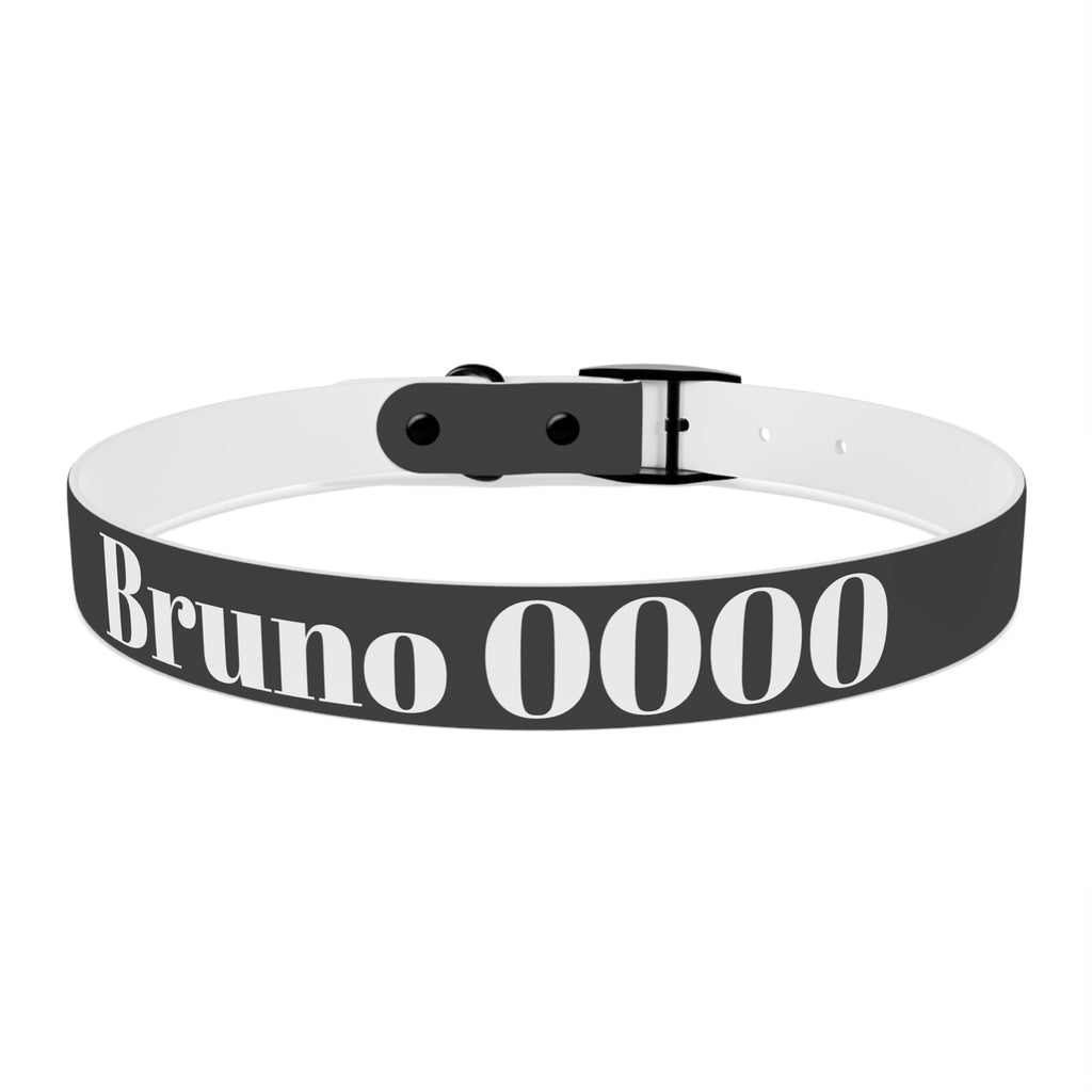 Personalized Dachshund Dog Collar | Custom Name Pet Collar | Sausage Dog Gift