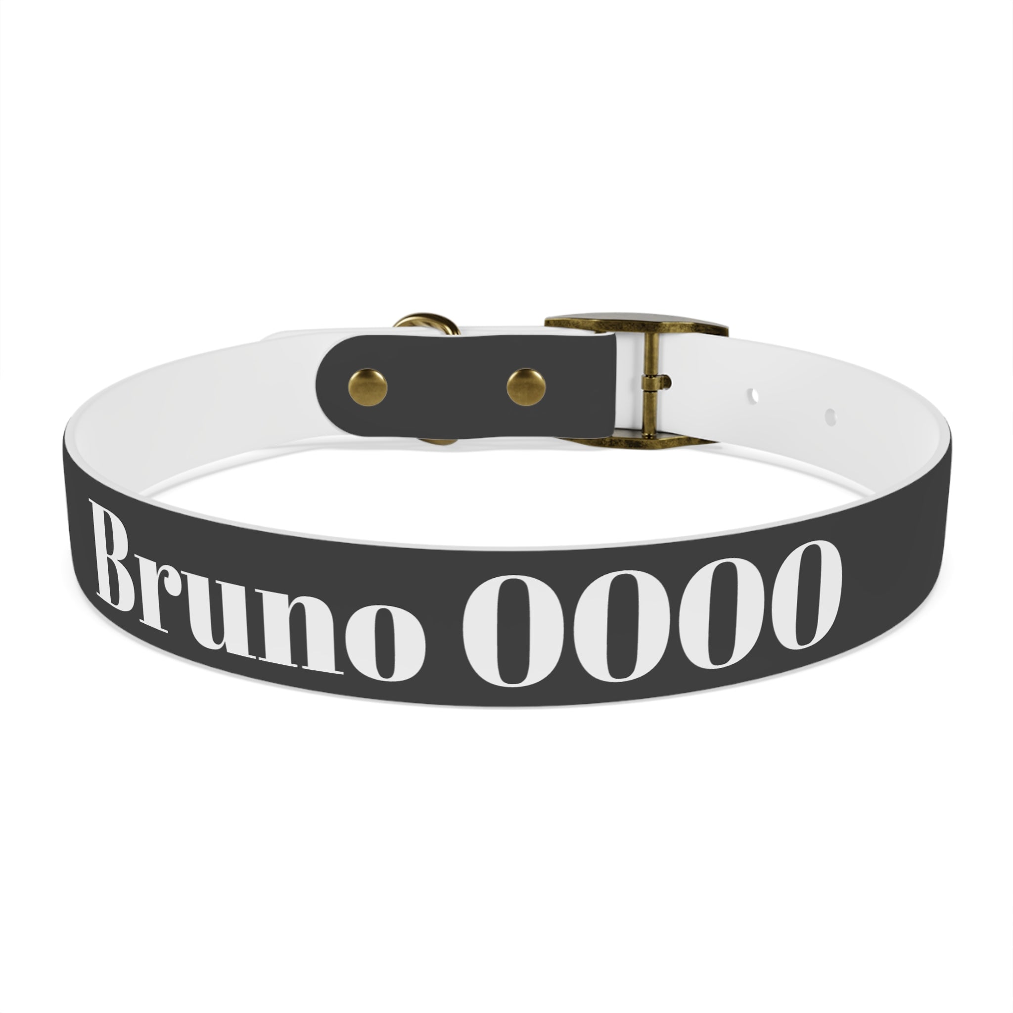 Personalized Dachshund Dog Collar | Custom Name Pet Collar | Sausage Dog Gift