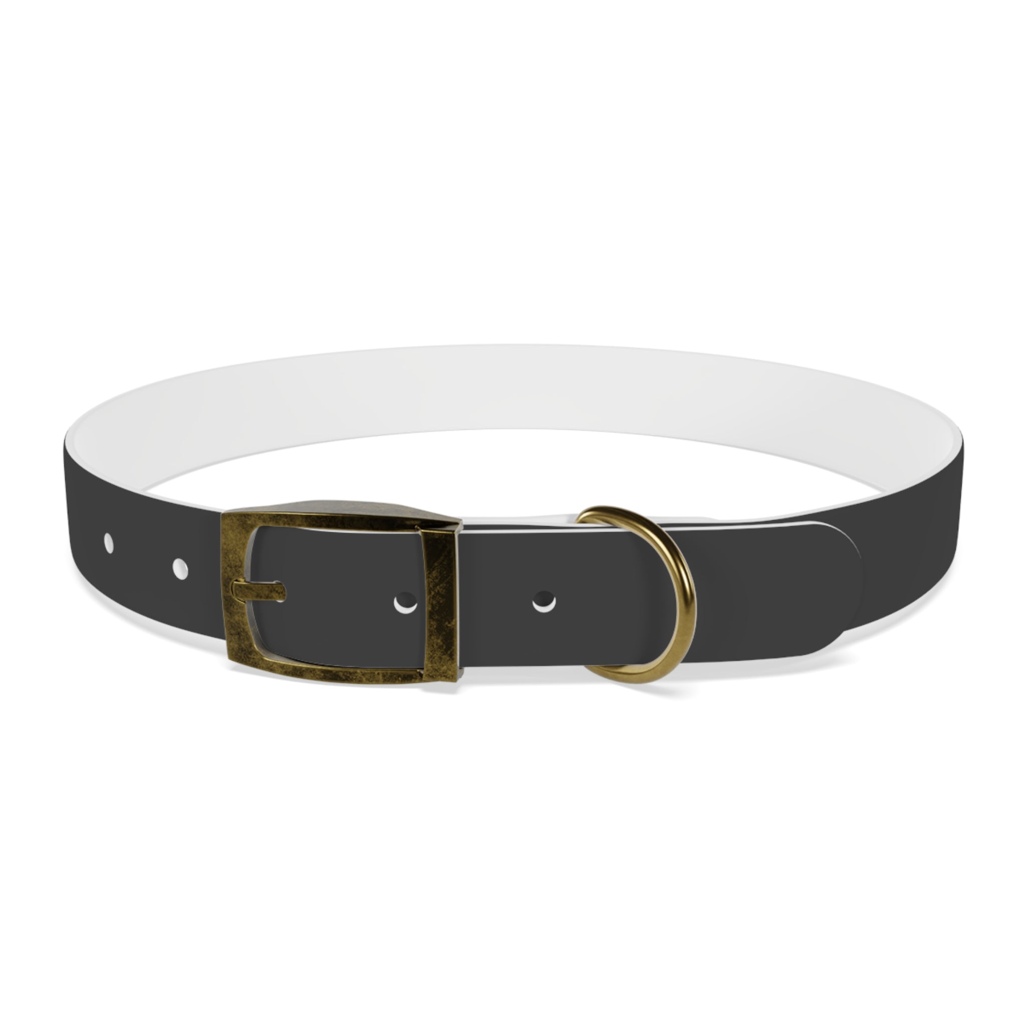 Personalized Dachshund Dog Collar | Custom Name Pet Collar | Sausage Dog Gift