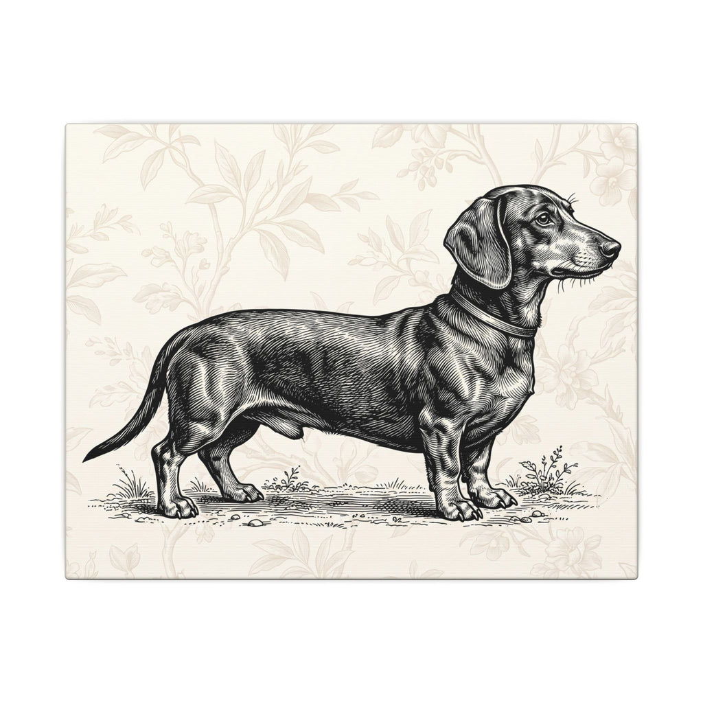 Dachshund Vintage Illustration Matte Canvas Wall Art
