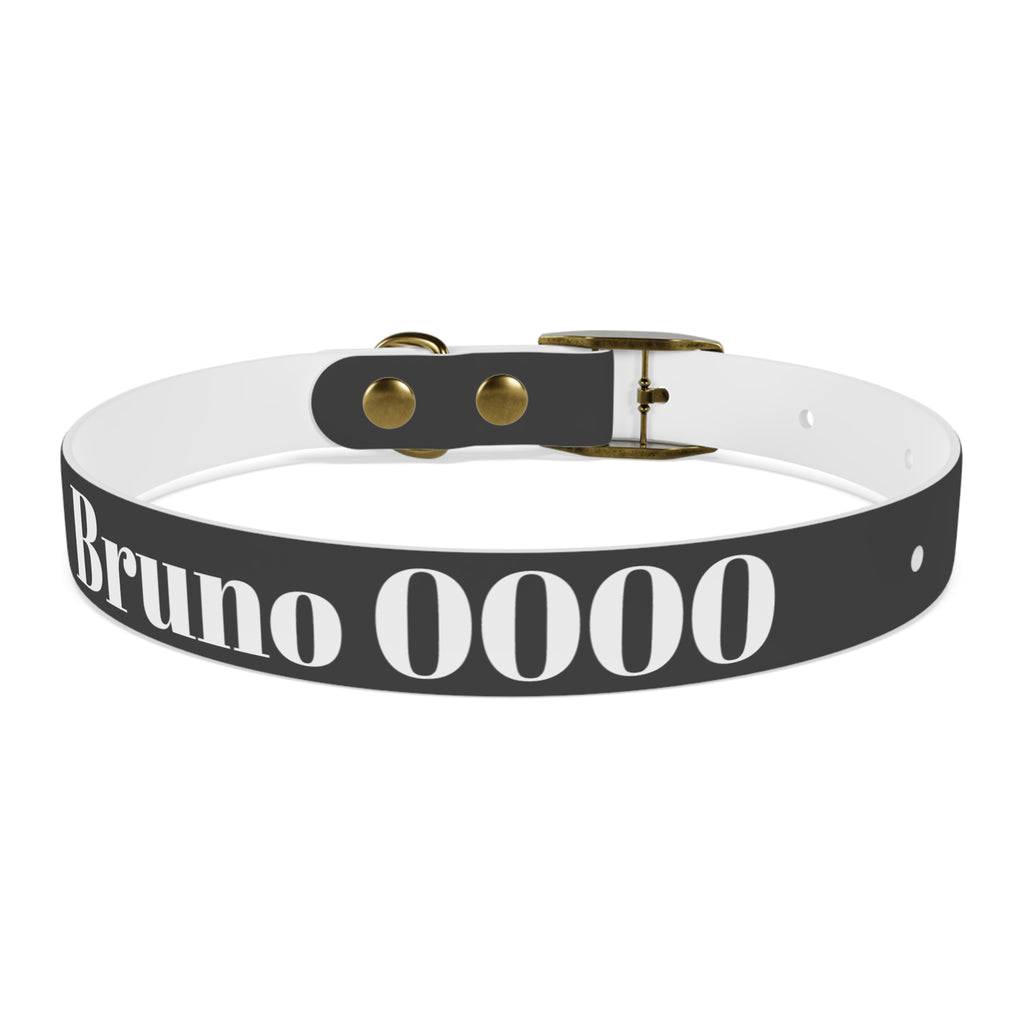 Personalized Dachshund Dog Collar | Custom Name Pet Collar | Sausage Dog Gift