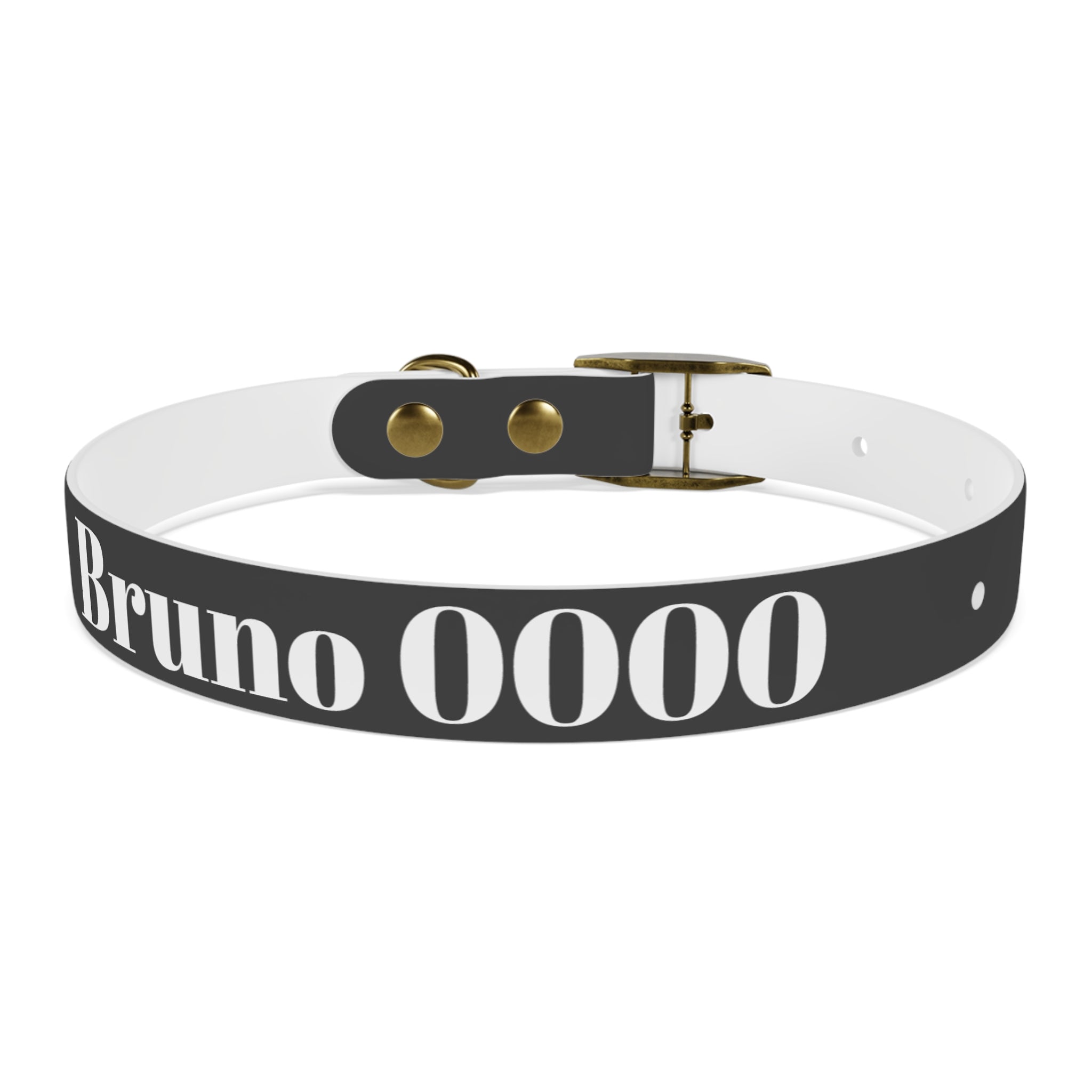 Personalized Dachshund Dog Collar | Custom Name Pet Collar | Sausage Dog Gift