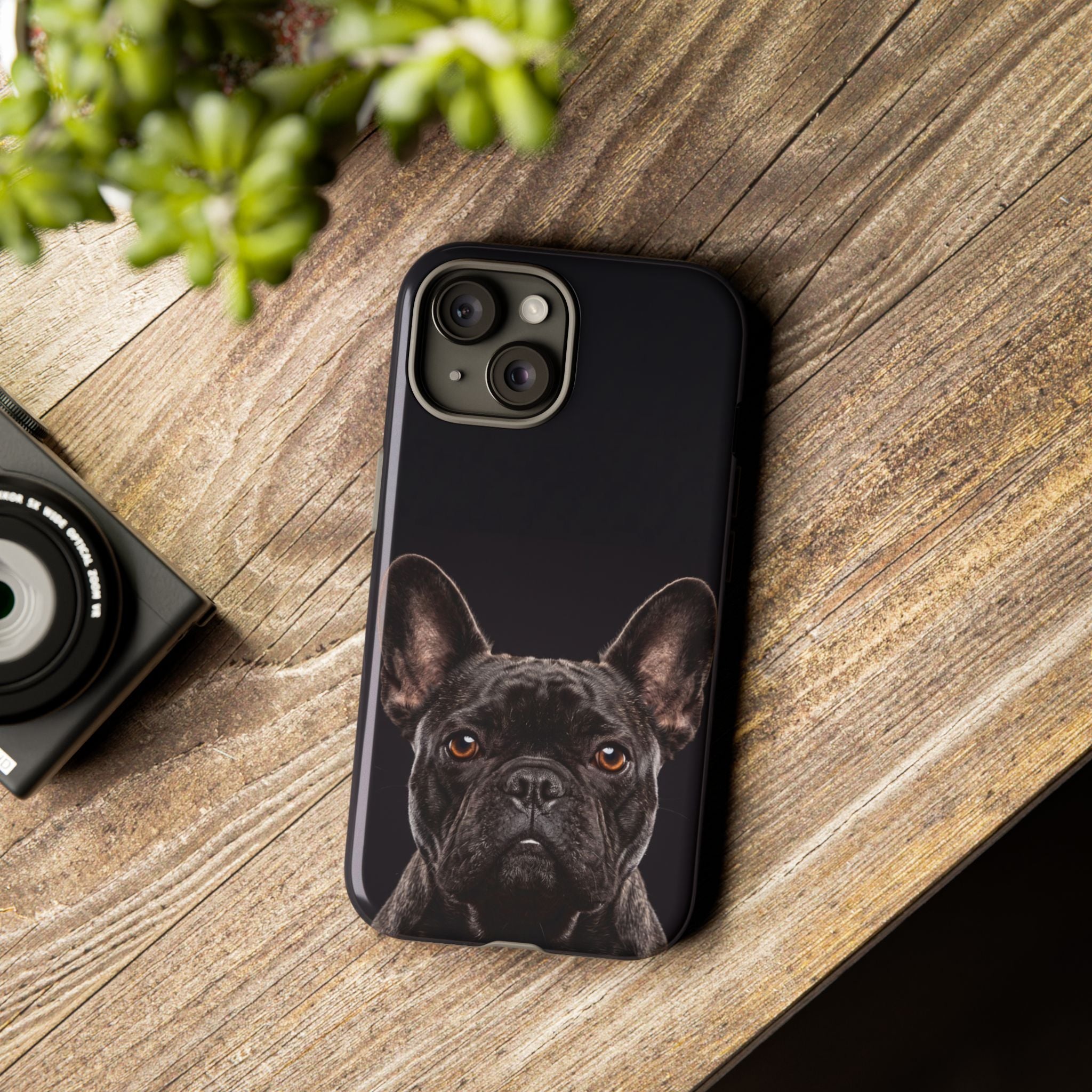 Front-Facing French Bulldog Phone Case | Dramatic Black Studio Portrait | Samsung & iPhone