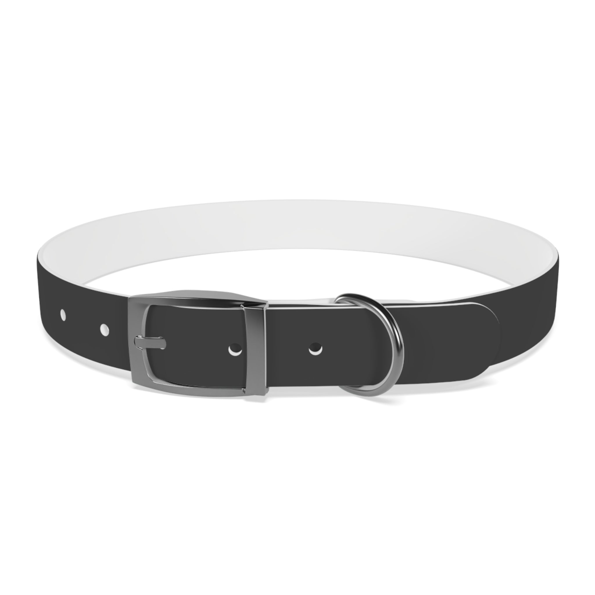 Personalized Dachshund Dog Collar | Custom Name Pet Collar | Sausage Dog Gift