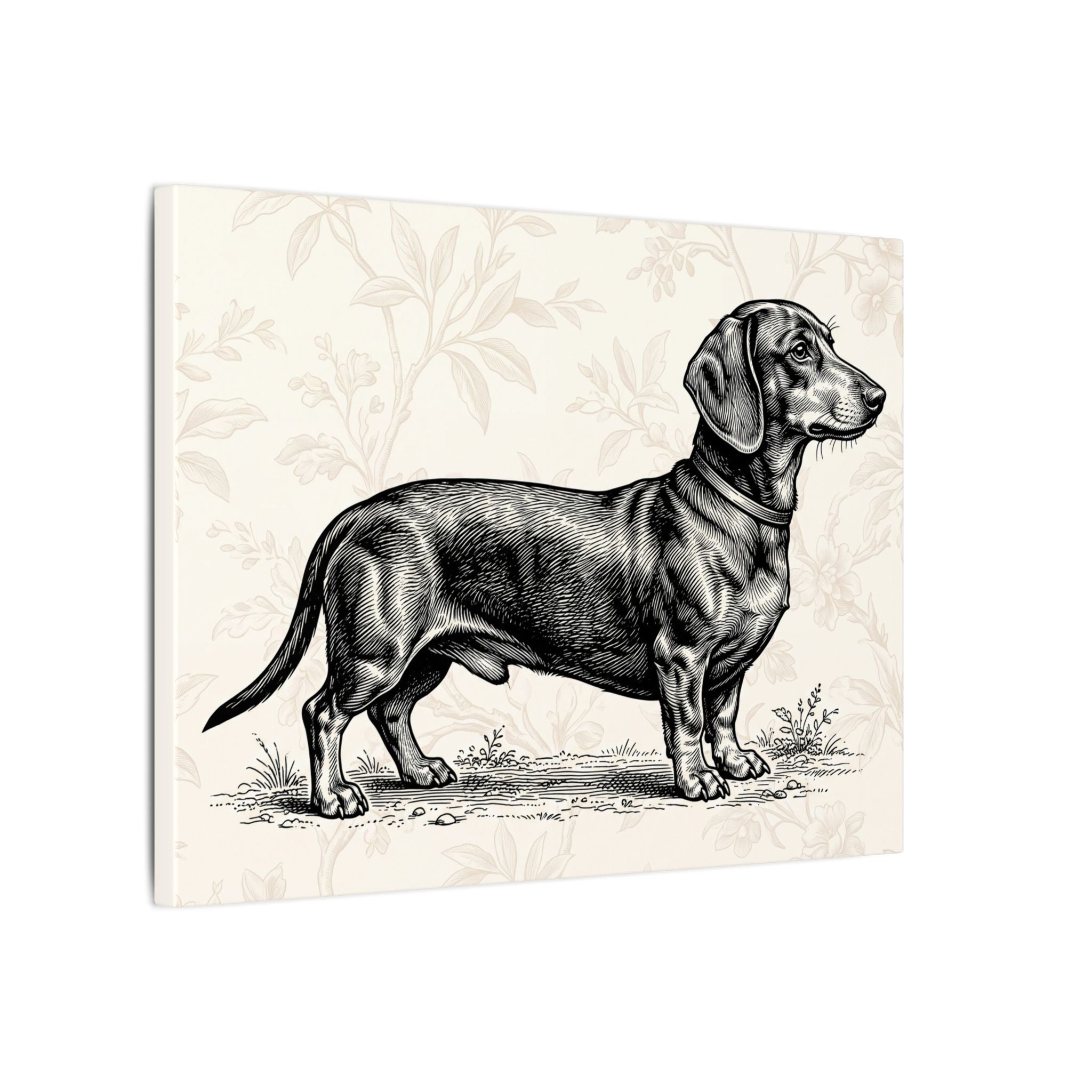 Dachshund Vintage Illustration Matte Canvas Wall Art