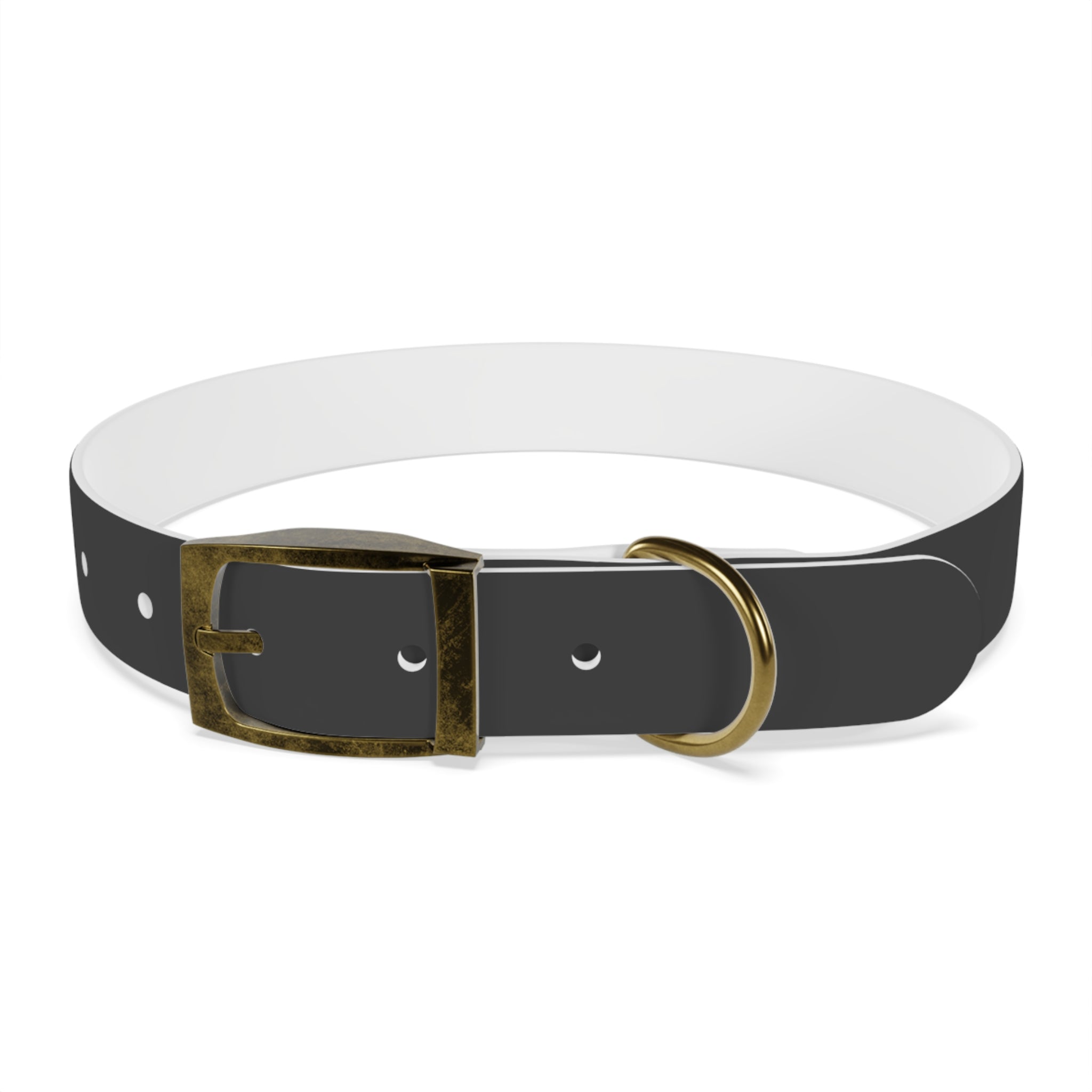 Personalized Dachshund Dog Collar | Custom Name Pet Collar | Sausage Dog Gift