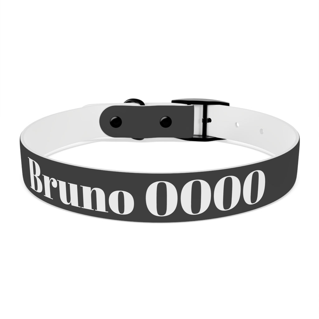 Personalized Dachshund Dog Collar | Custom Name Pet Collar | Sausage Dog Gift