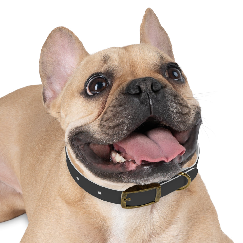 Personalized Dachshund Dog Collar | Custom Name Pet Collar | Sausage Dog Gift