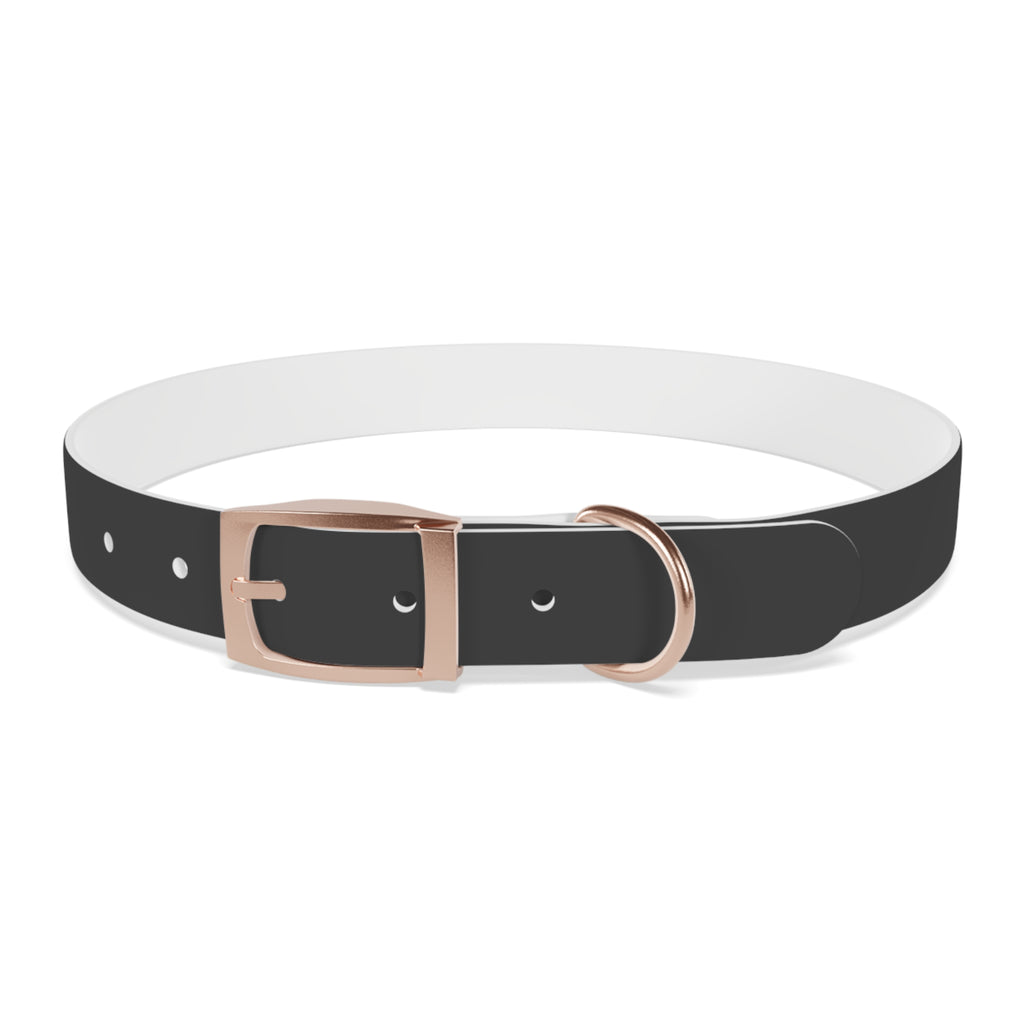 Personalized Dachshund Dog Collar | Custom Name Pet Collar | Sausage Dog Gift