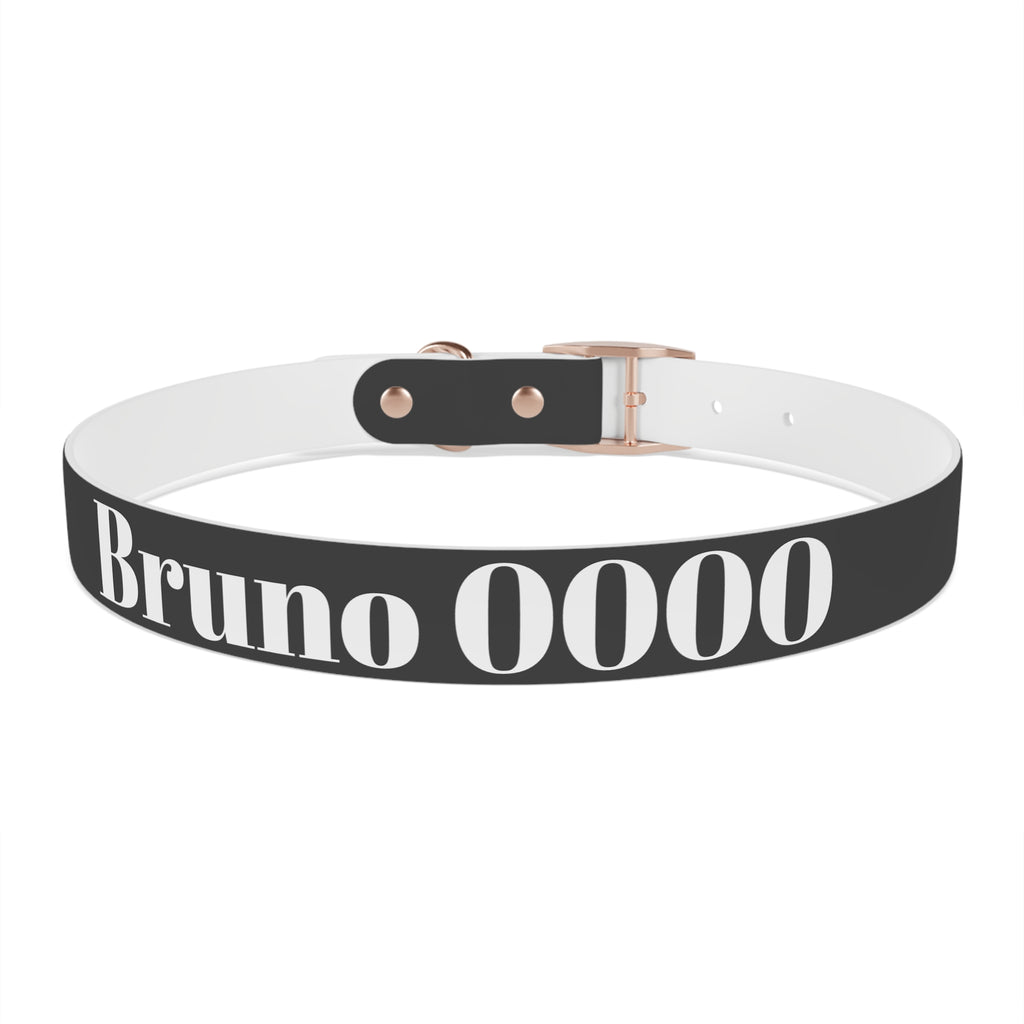 Personalized Dachshund Dog Collar | Custom Name Pet Collar | Sausage Dog Gift