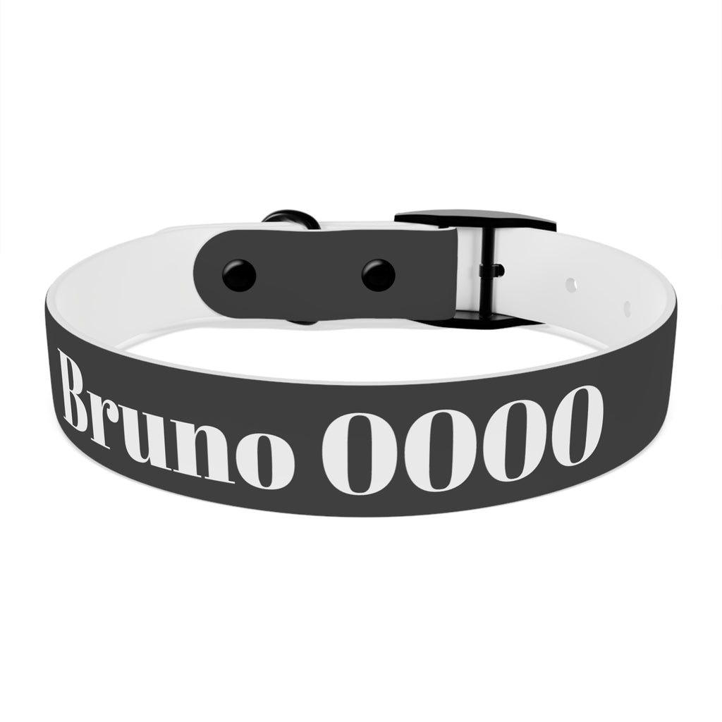Personalized Dachshund Dog Collar | Custom Name Pet Collar | Sausage Dog Gift