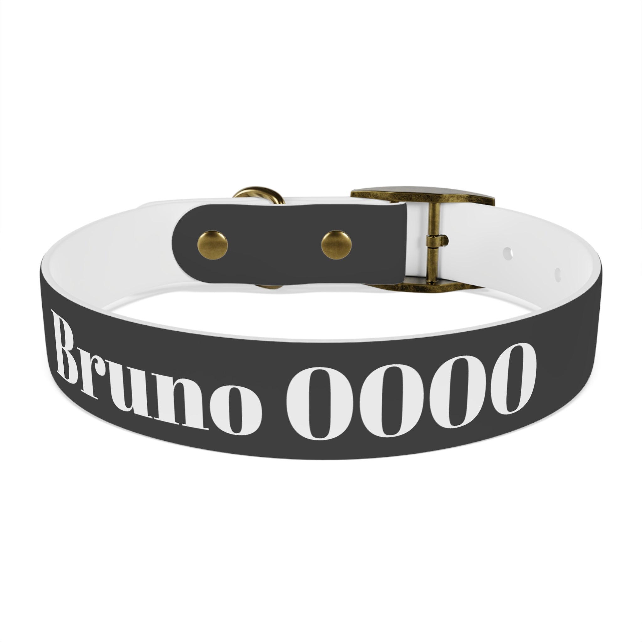 Personalized Dachshund Dog Collar | Custom Name Pet Collar | Sausage Dog Gift