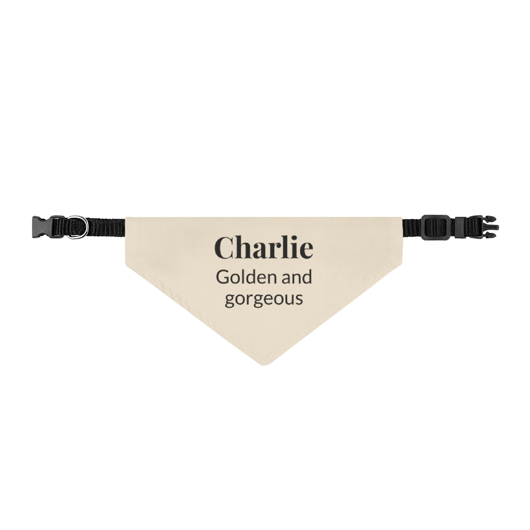 Personalized Golden Retriever Bandana | Custom Name Pet Bandana | Warm Cream Golden and Gorgeous Dog Bandana