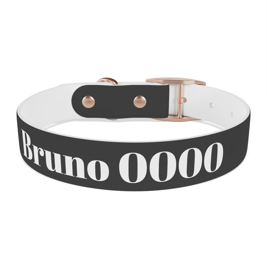 Personalized Dachshund Dog Collar | Custom Name Pet Collar | Sausage Dog Gift