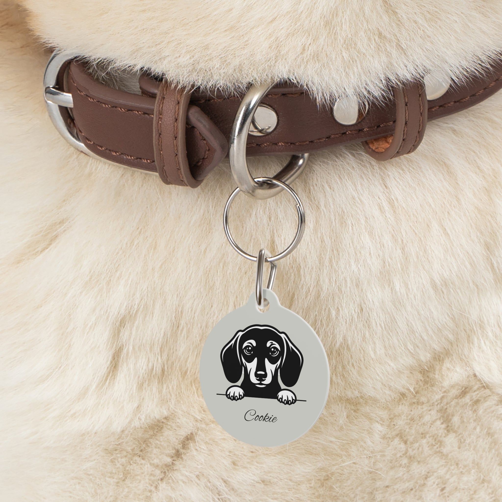 Personalized Dachshund Peeking Pet Tag – Custom Photo & Name Dog ID Tag