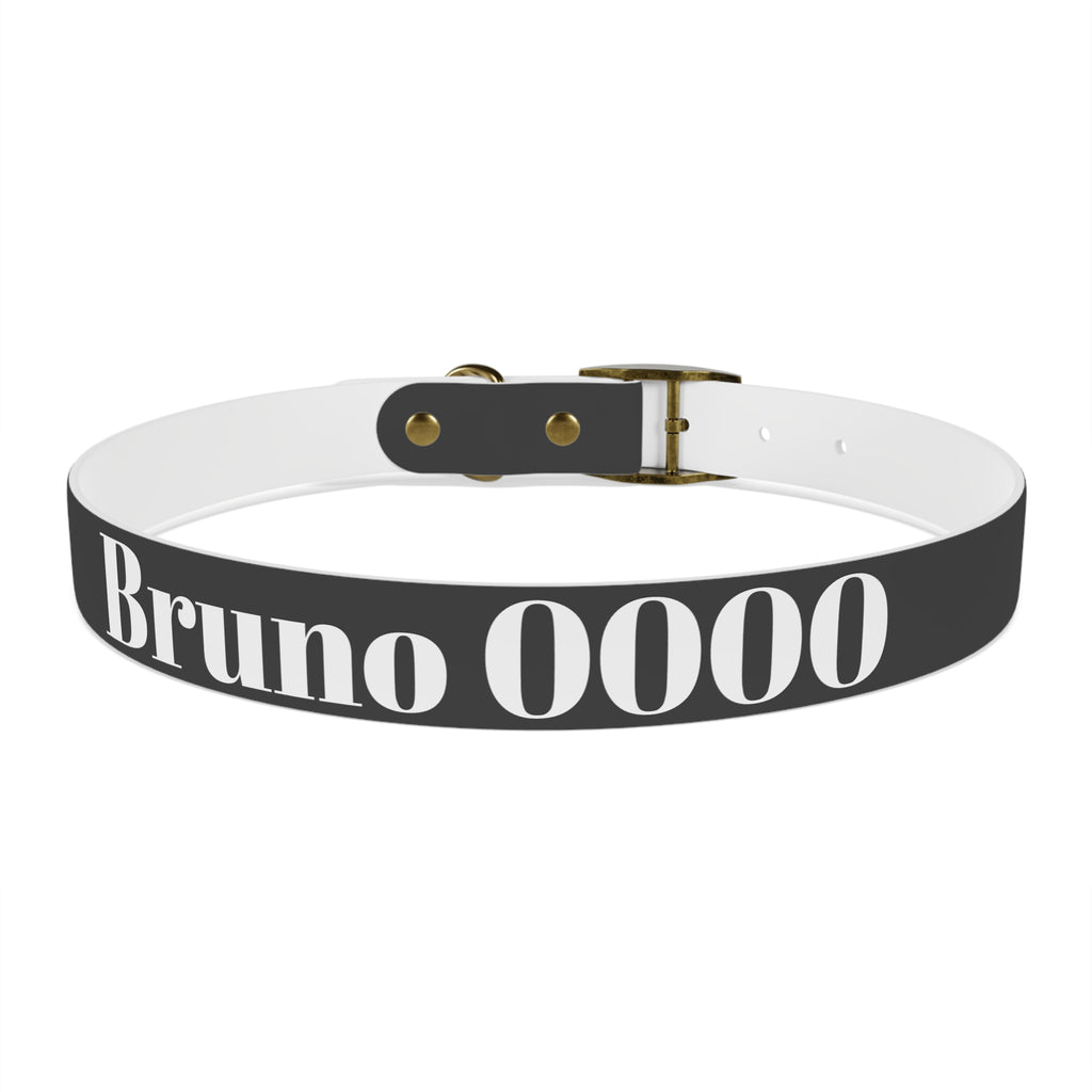 Personalized Dachshund Dog Collar | Custom Name Pet Collar | Sausage Dog Gift