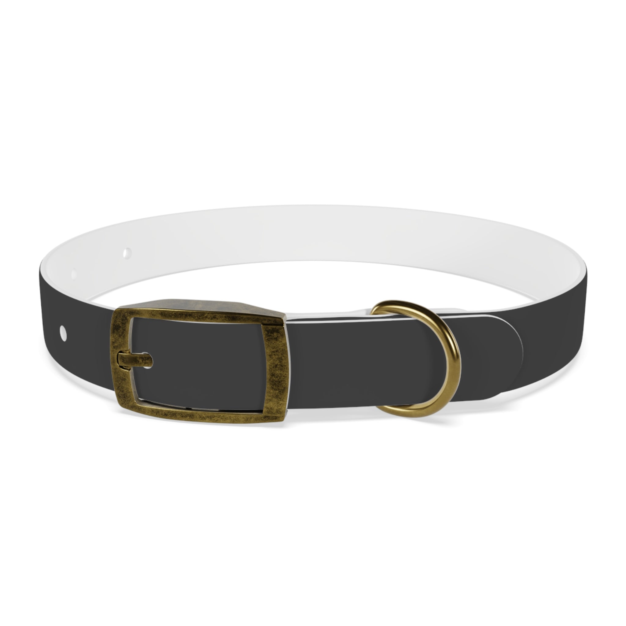 Personalized Dachshund Dog Collar | Custom Name Pet Collar | Sausage Dog Gift