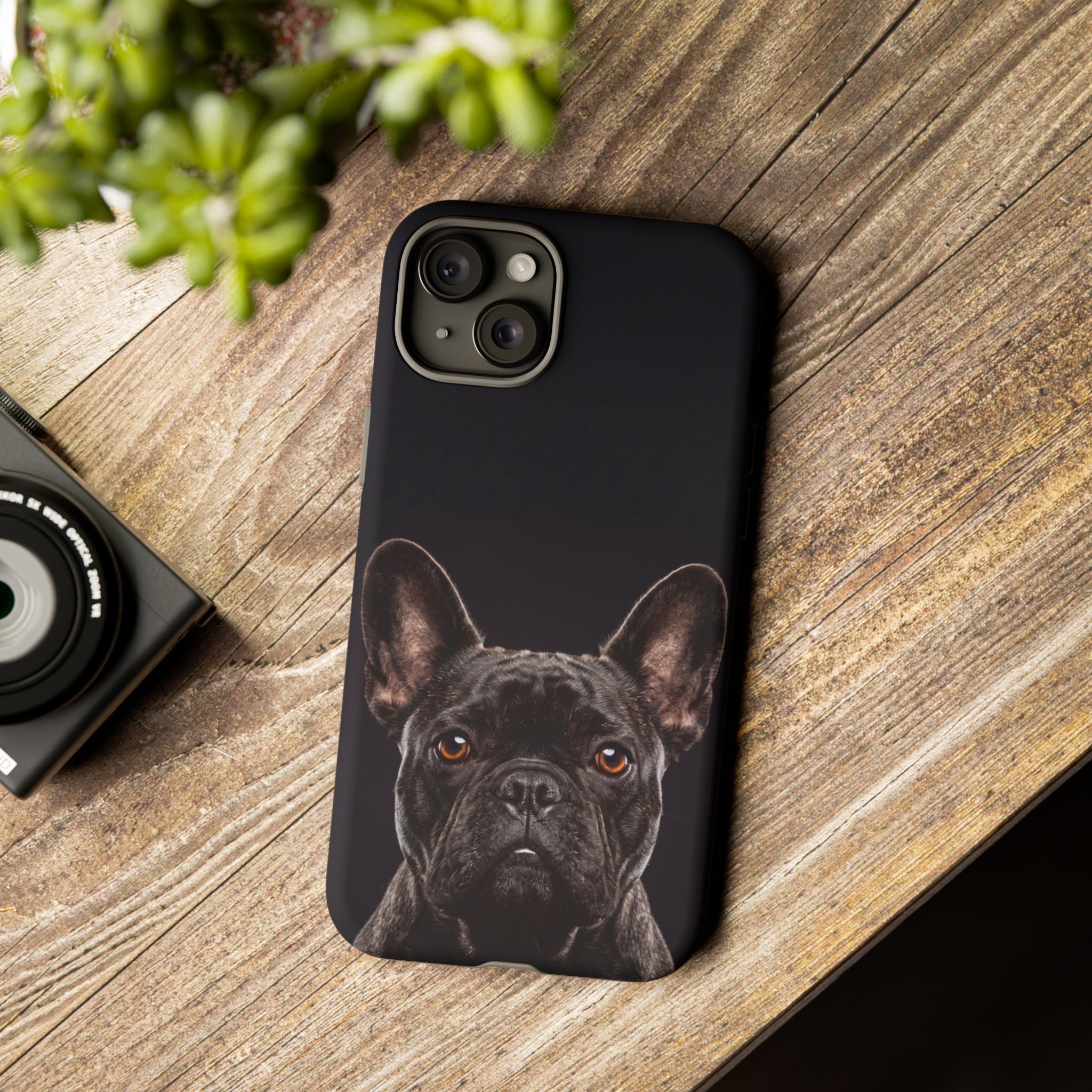 Front-Facing French Bulldog Phone Case | Dramatic Black Studio Portrait | Samsung & iPhone