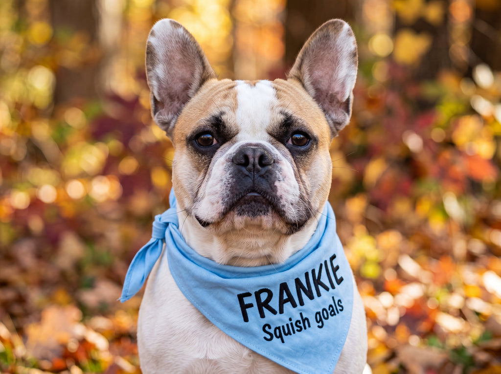Personalized French Bulldog Bandana | Custom Name Pet Bandana | Sky Blue Squish Goals Dog Bandana