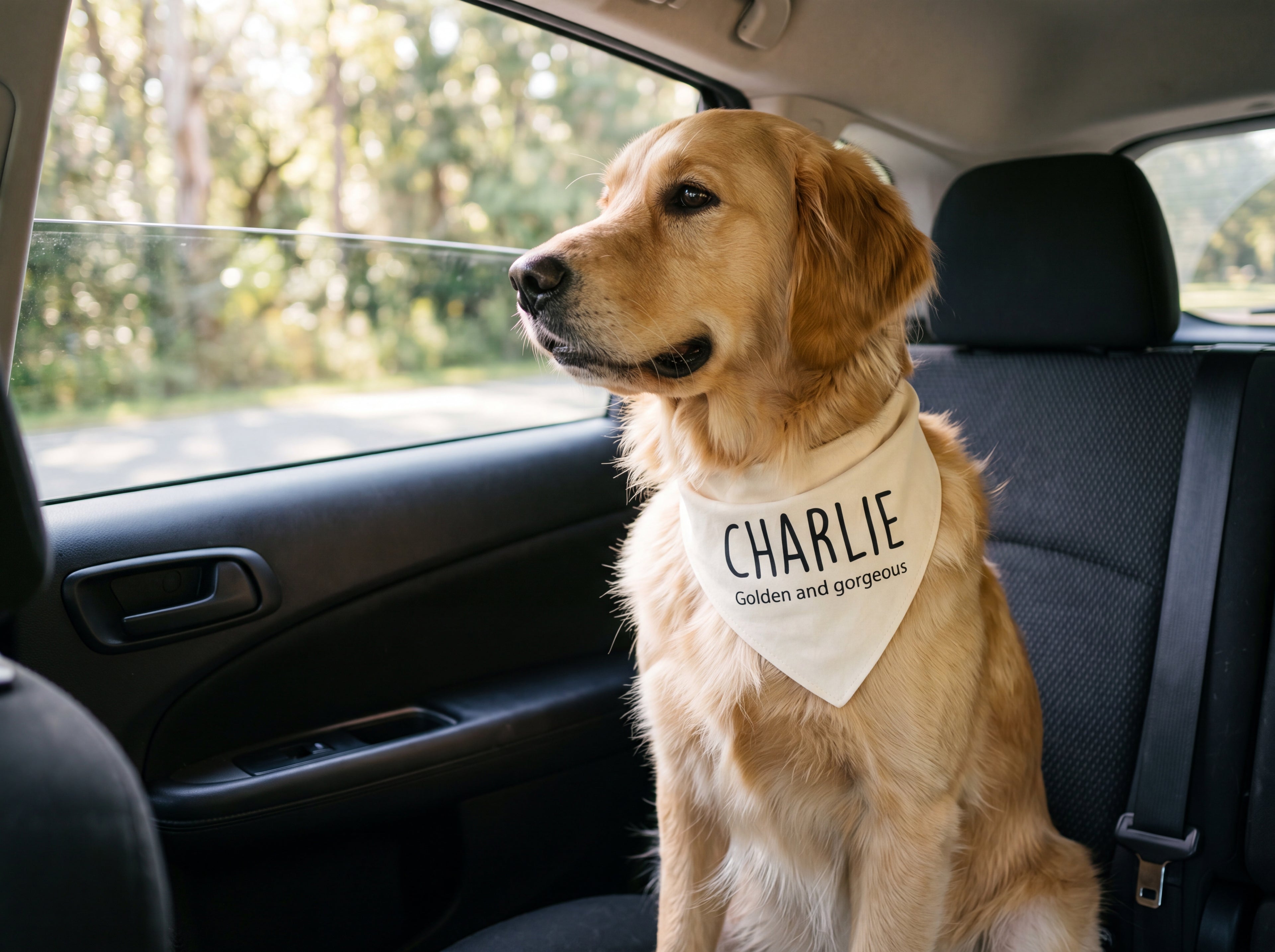 Personalized Golden Retriever Bandana | Custom Name Pet Bandana | Warm Cream Golden and Gorgeous Dog Bandana