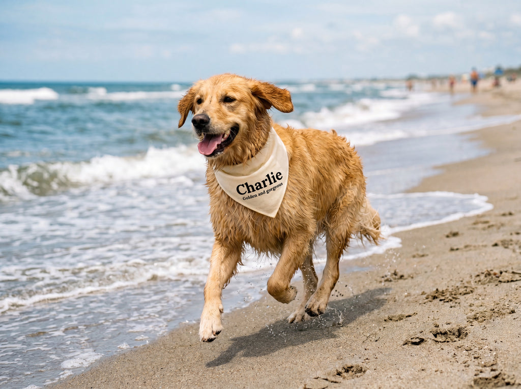 Personalized Golden Retriever Bandana | Custom Name Pet Bandana | Warm Cream Golden and Gorgeous Dog Bandana