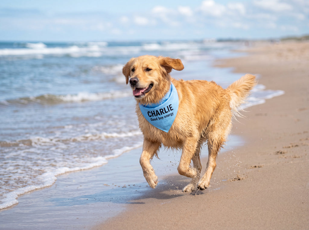 Personalized Golden Retriever Bandana | Custom Name Pet Bandana | Sky Blue Good Boy Energy Dog Bandana