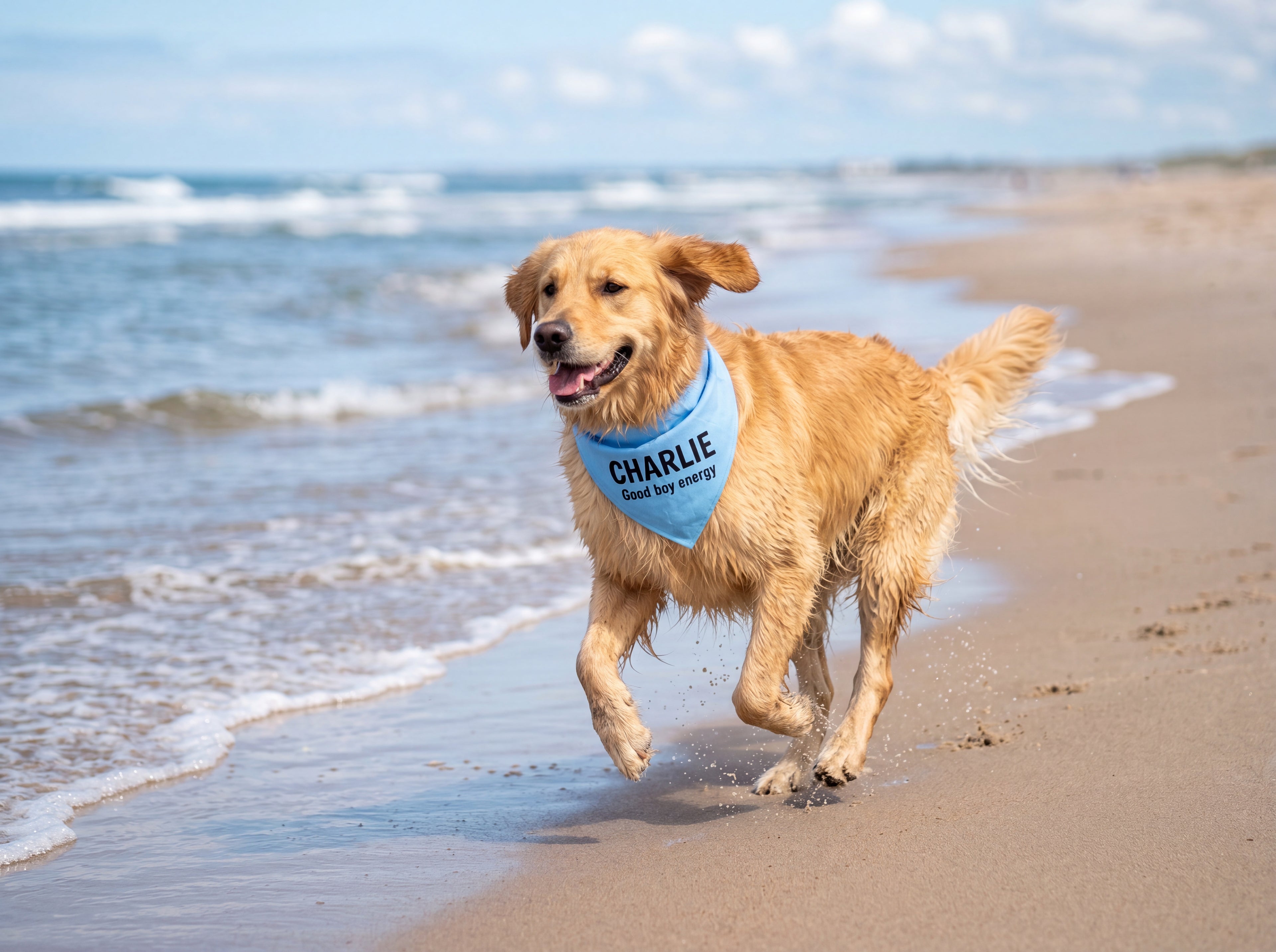 Personalized Golden Retriever Bandana | Custom Name Pet Bandana | Sky Blue Good Boy Energy Dog Bandana
