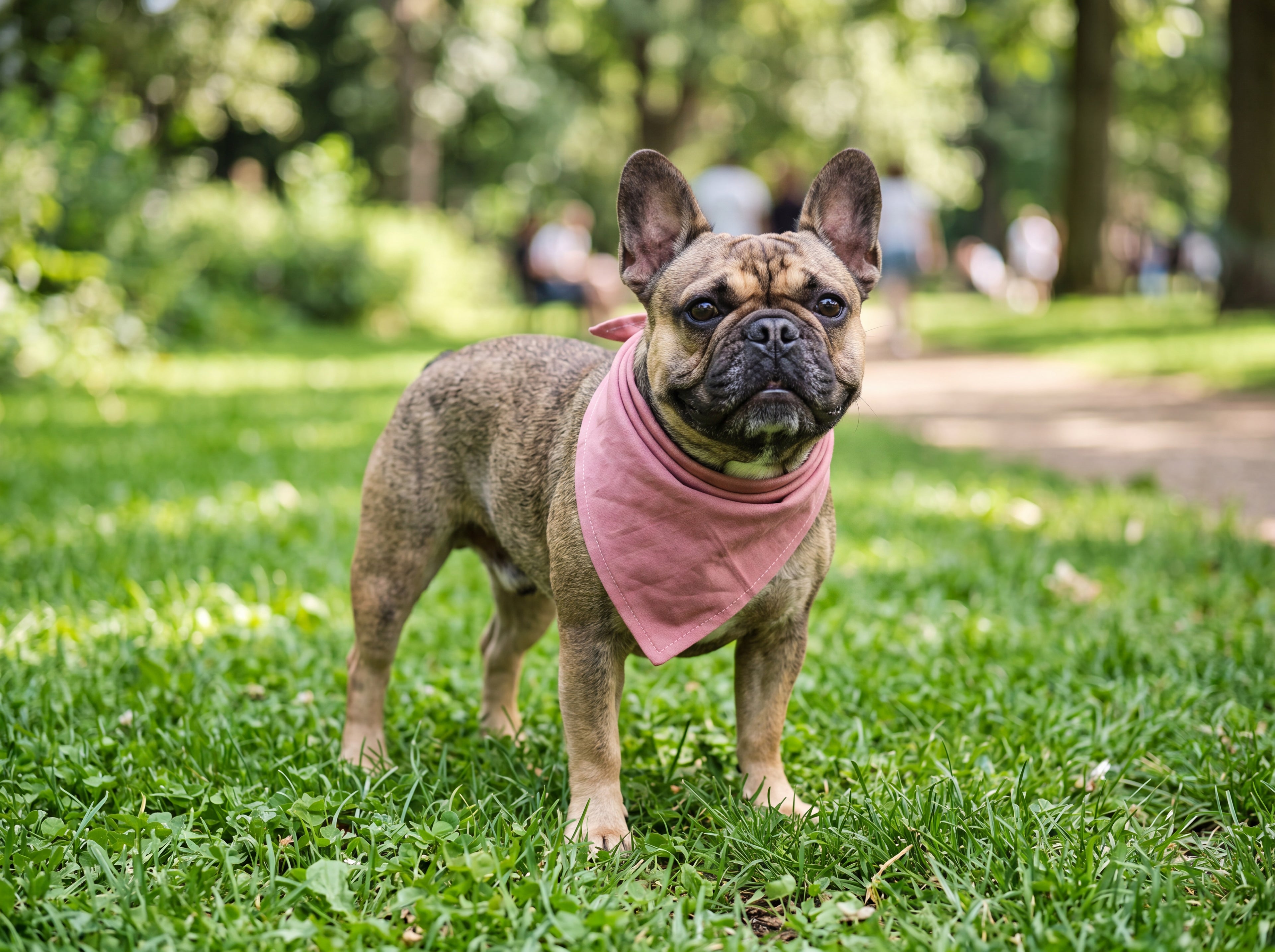 Dusty Rose French Bulldog Bandana | Cute Frenchie Dog Bandana | Pet Lover Gift