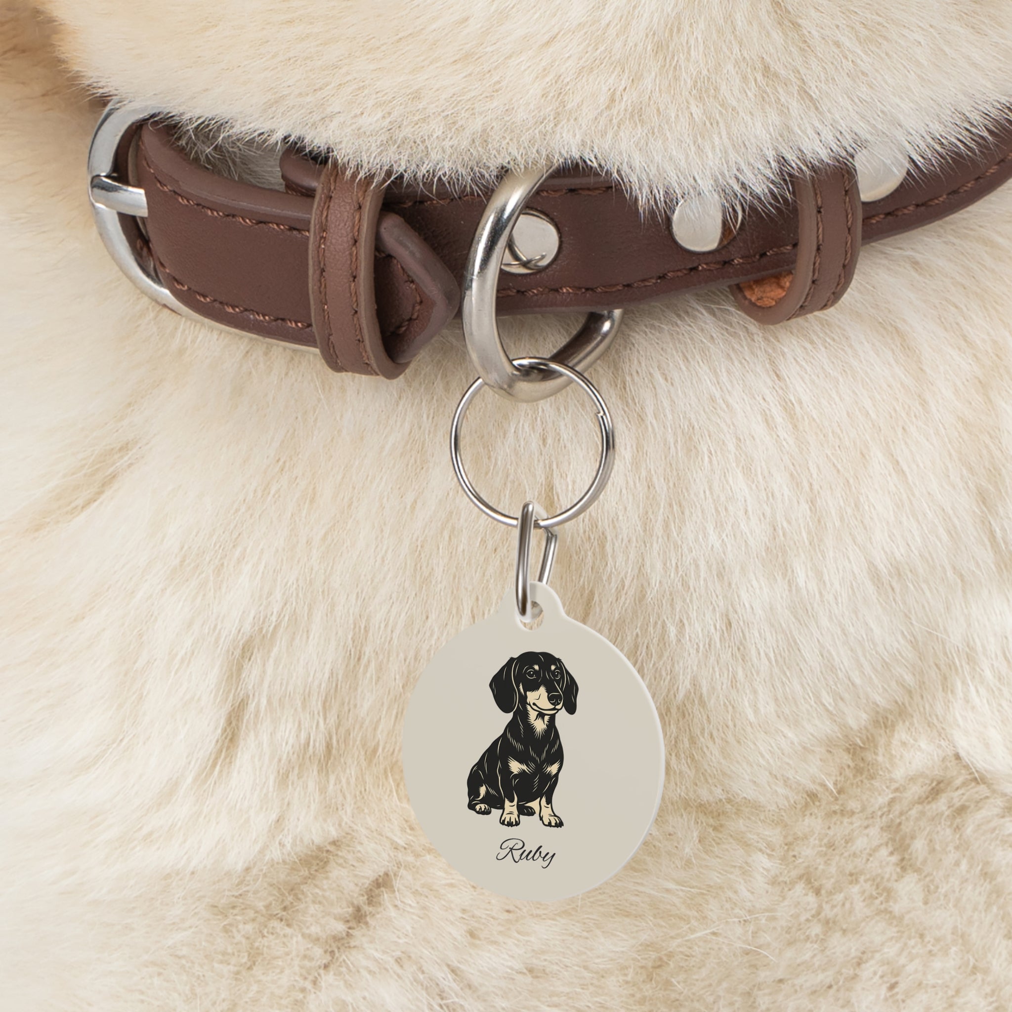 Personalized Dachshund Pet Tag – Custom Photo & Name Dog ID Tag