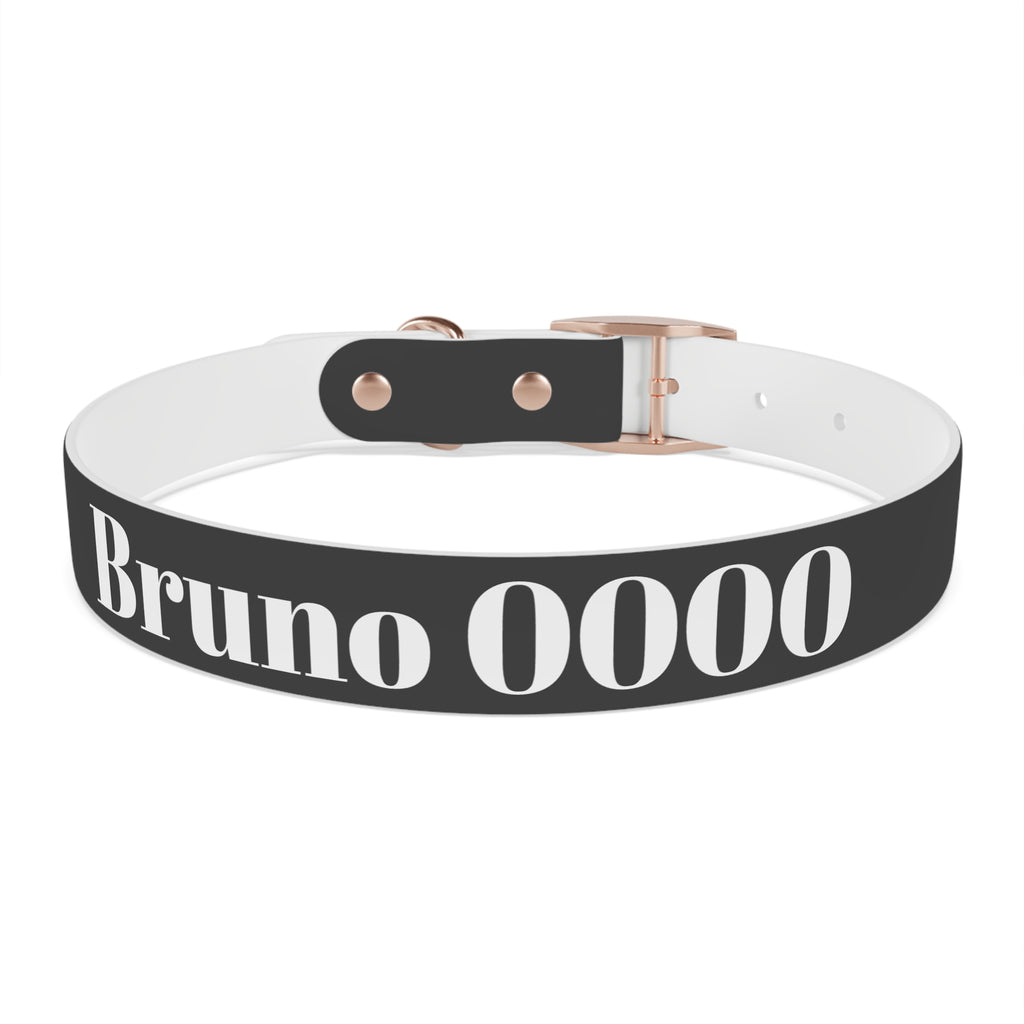 Personalized Dachshund Dog Collar | Custom Name Pet Collar | Sausage Dog Gift