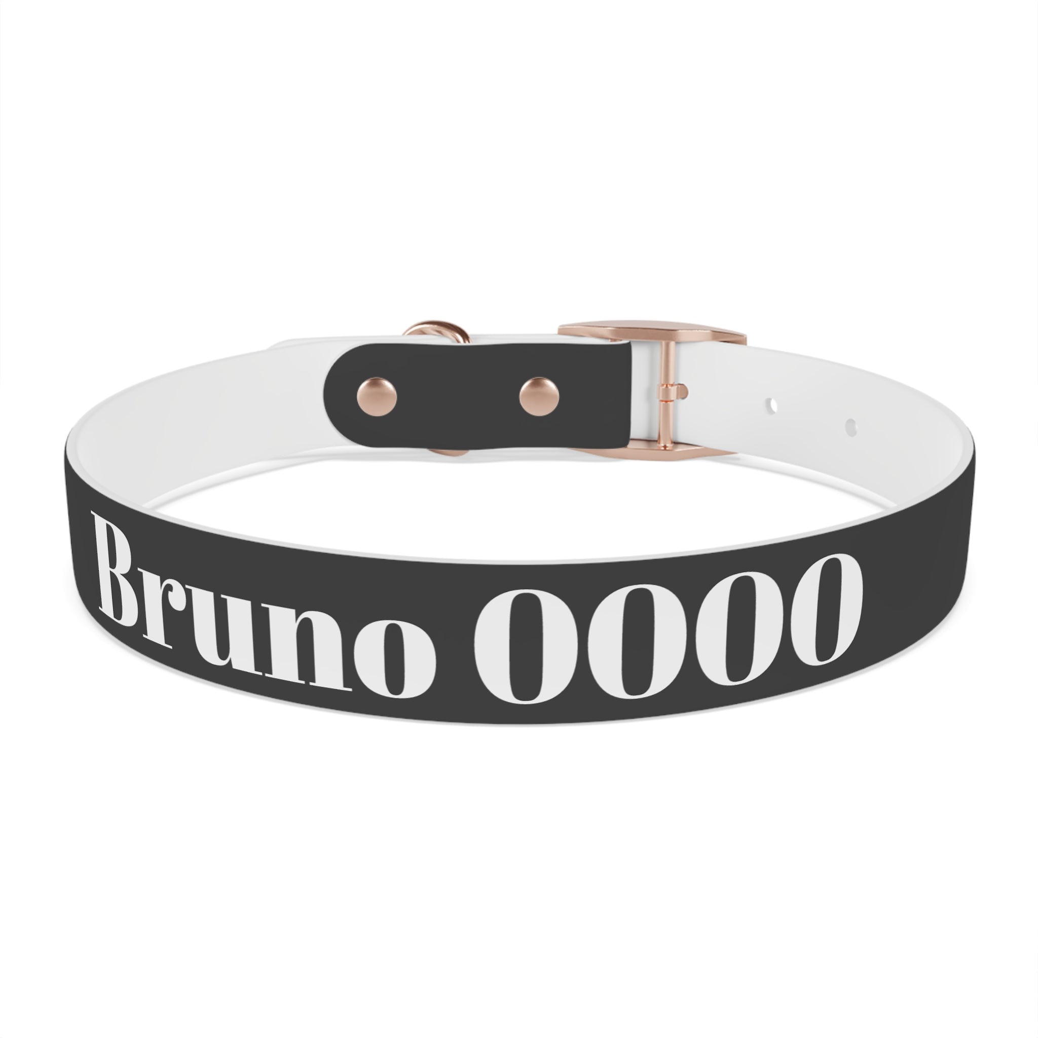 Personalized Dachshund Dog Collar | Custom Name Pet Collar | Sausage Dog Gift