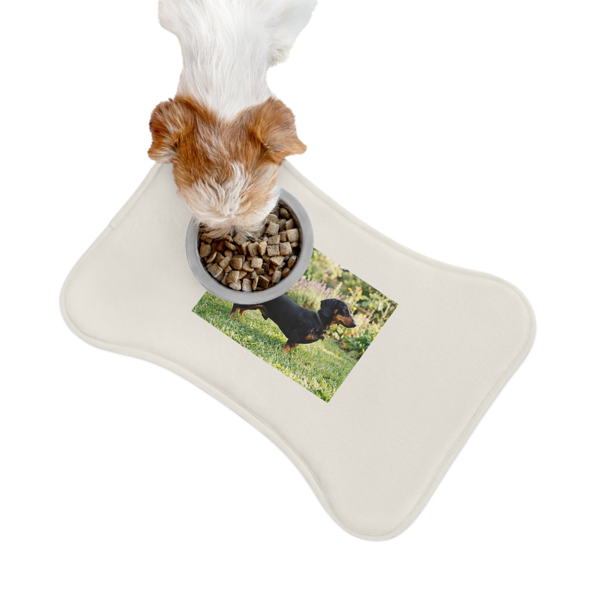 Dachshund Gift Mat | Sausage Dog Lover Decor | Cute Dog Photo Mat
