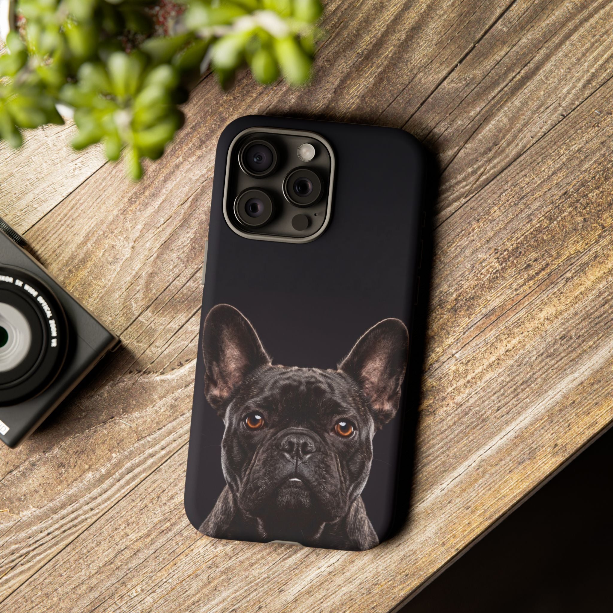 Front-Facing French Bulldog Phone Case | Dramatic Black Studio Portrait | Samsung & iPhone