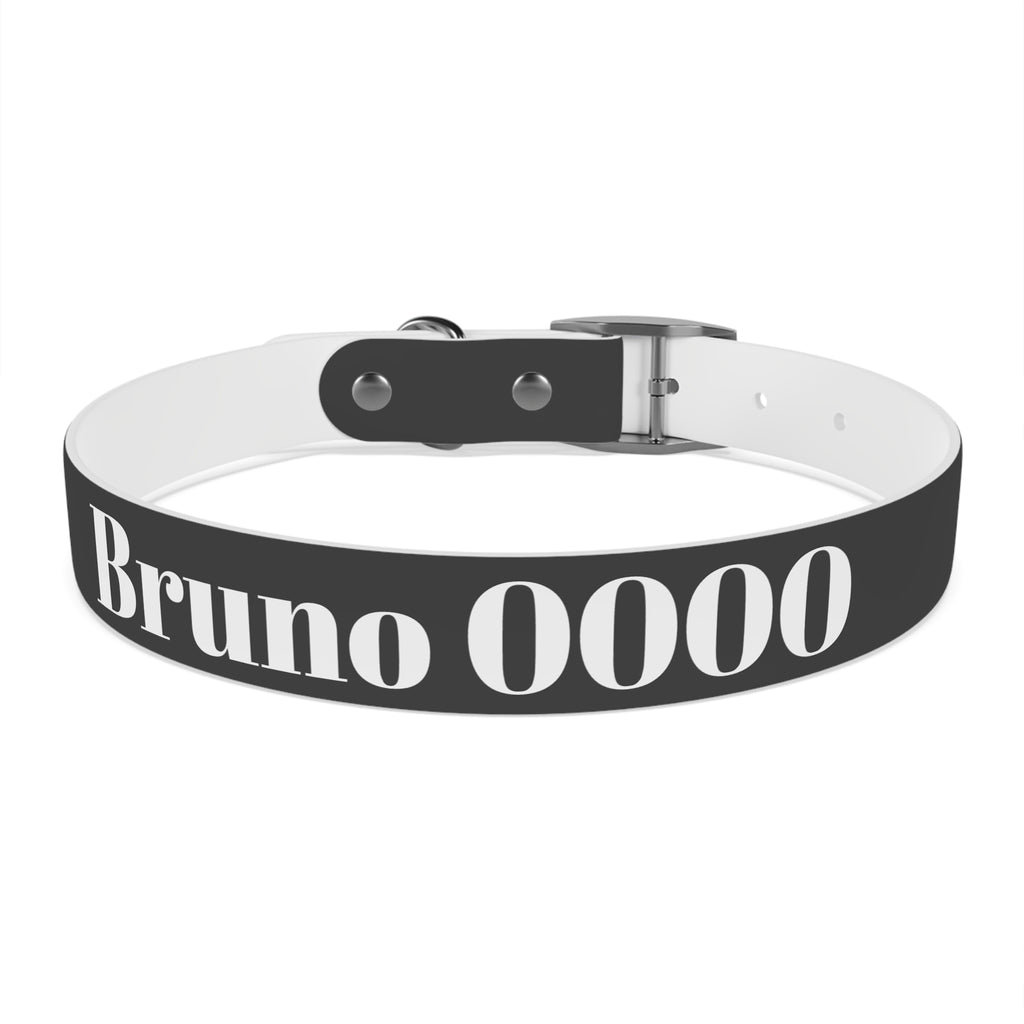 Personalized Dachshund Dog Collar | Custom Name Pet Collar | Sausage Dog Gift
