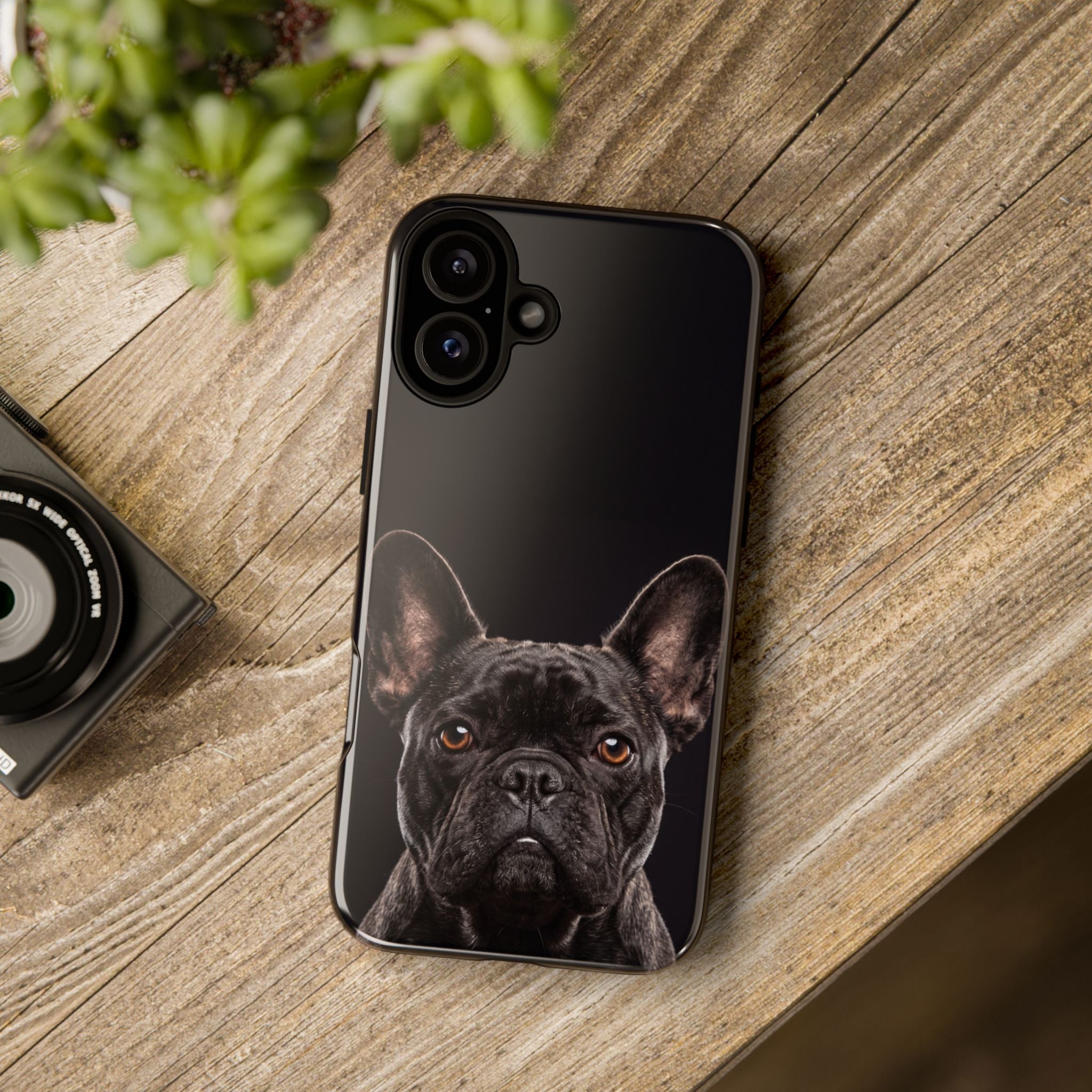 Front-Facing French Bulldog Phone Case | Dramatic Black Studio Portrait | Samsung & iPhone