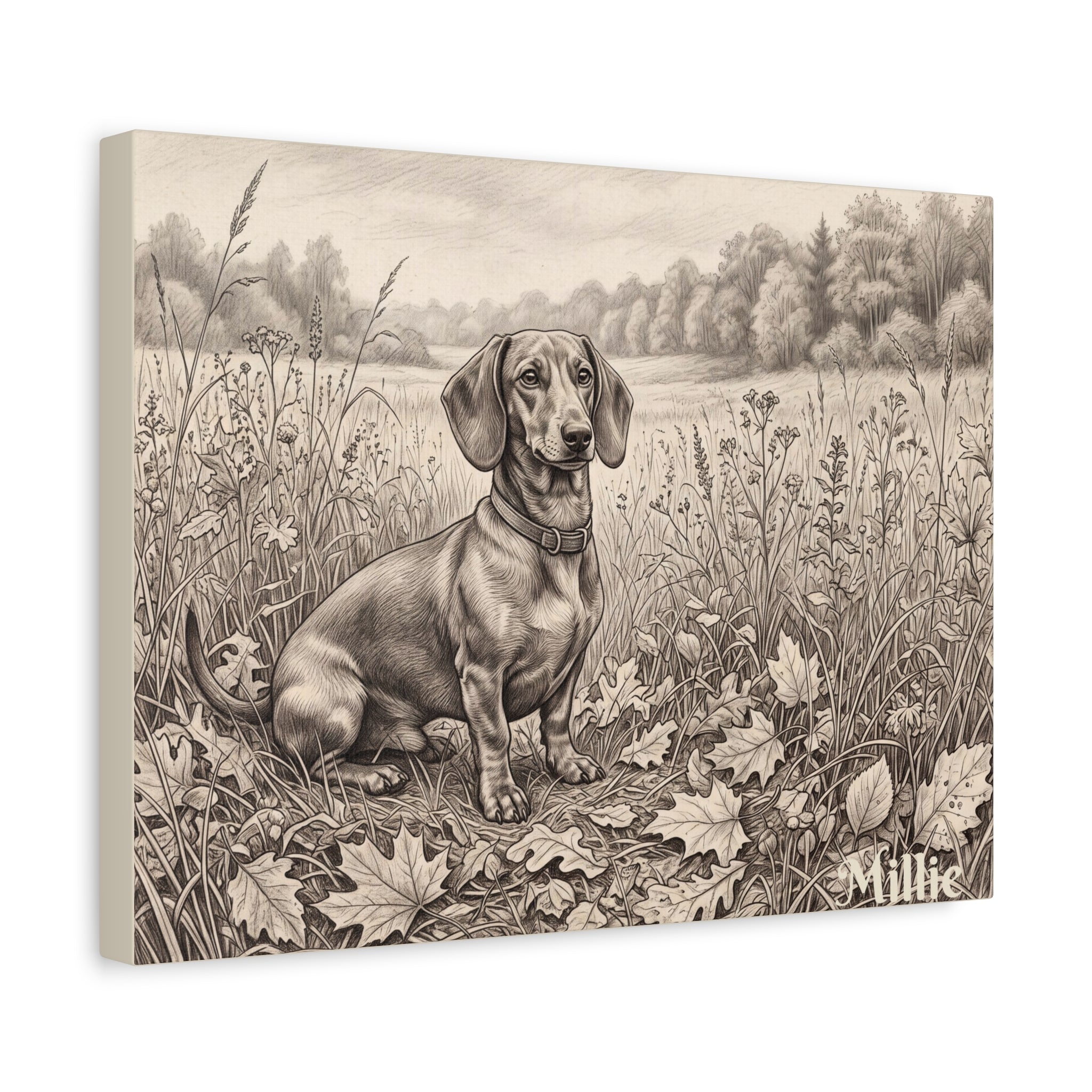 Dachshund Countryside Sketch Personalized Canvas | Autumn Meadow Wall Art