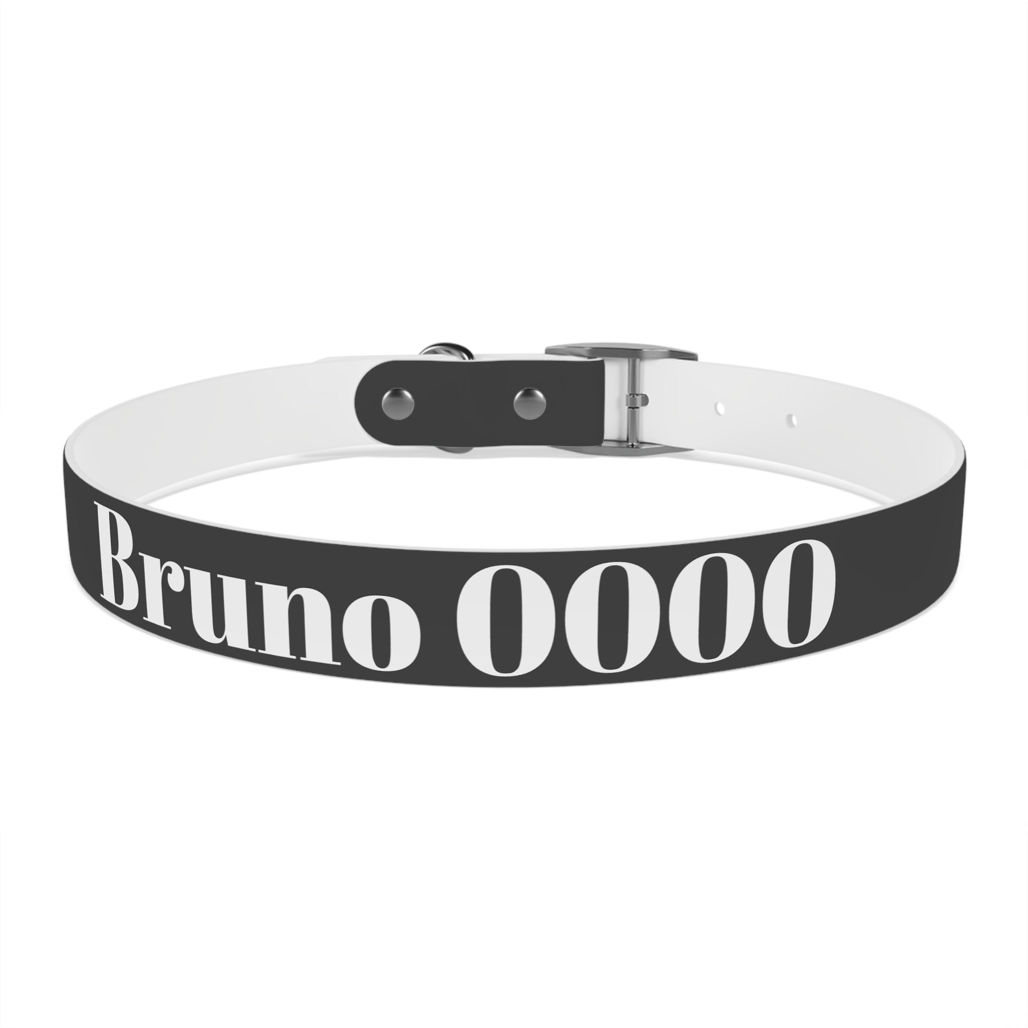 Personalized Dachshund Dog Collar | Custom Name Pet Collar | Sausage Dog Gift
