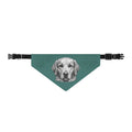 Golden Retriever Bandana | Teal Green | Sketch Art Goldie Dog Bandana | Pet Lover Gift