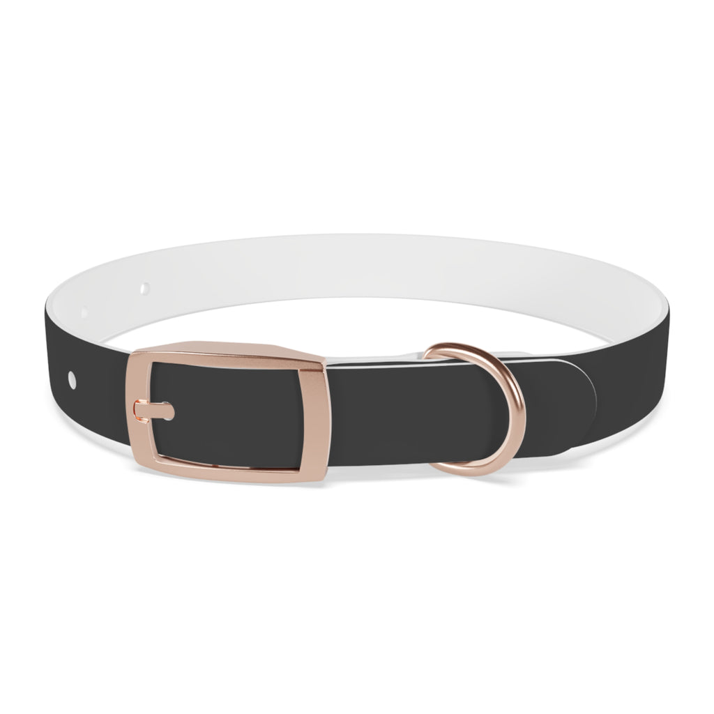 Personalized Dachshund Dog Collar | Custom Name Pet Collar | Sausage Dog Gift