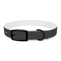 Personalized Dachshund Dog Collar | Custom Name Pet Collar | Sausage Dog Gift