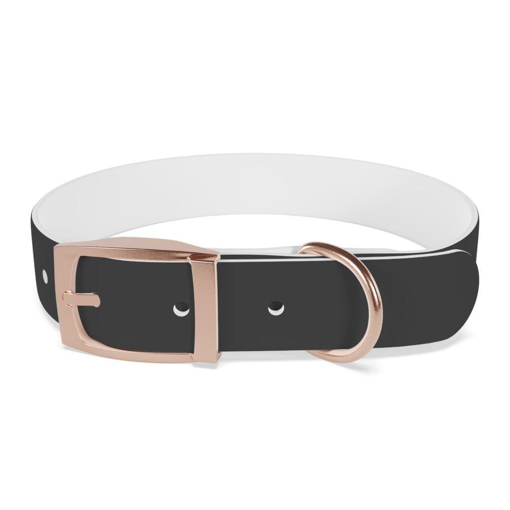 Personalized Dachshund Dog Collar | Custom Name Pet Collar | Sausage Dog Gift