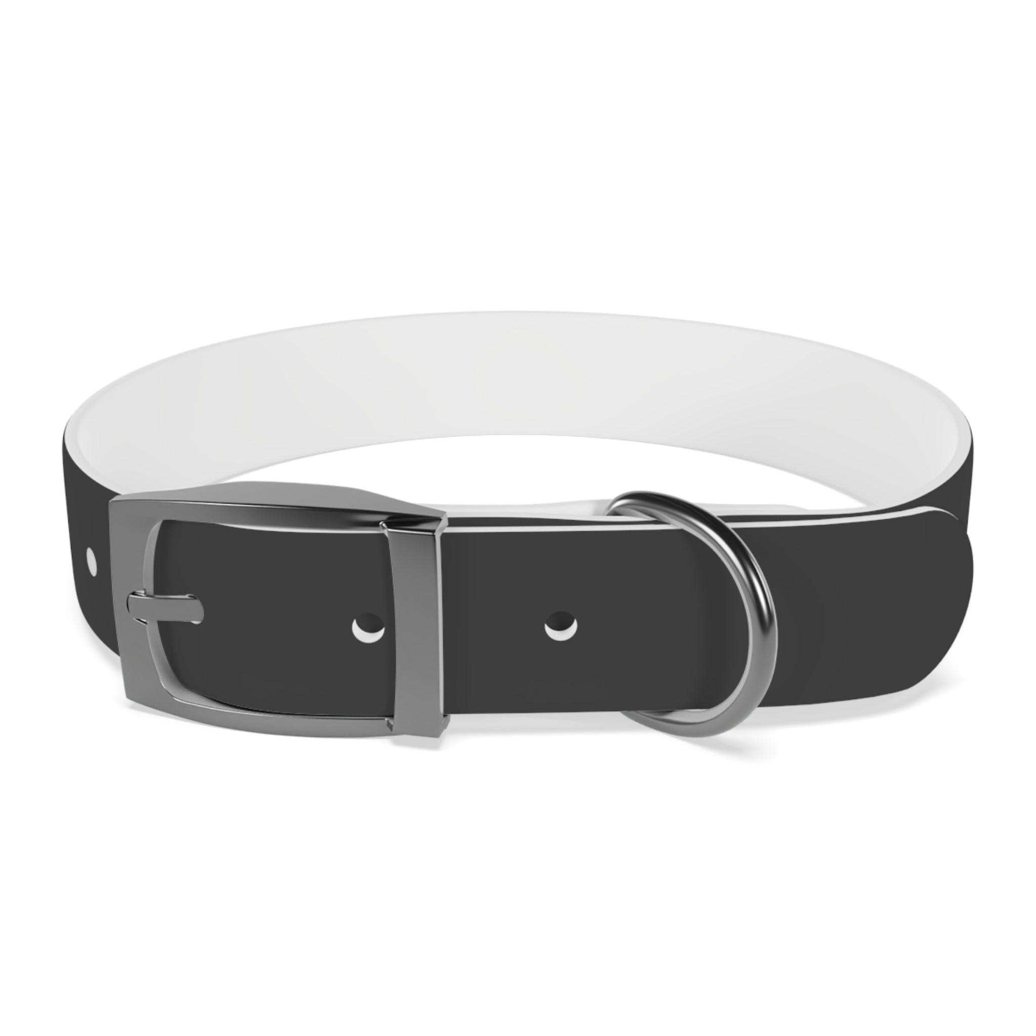 Personalized Dachshund Dog Collar | Custom Name Pet Collar | Sausage Dog Gift