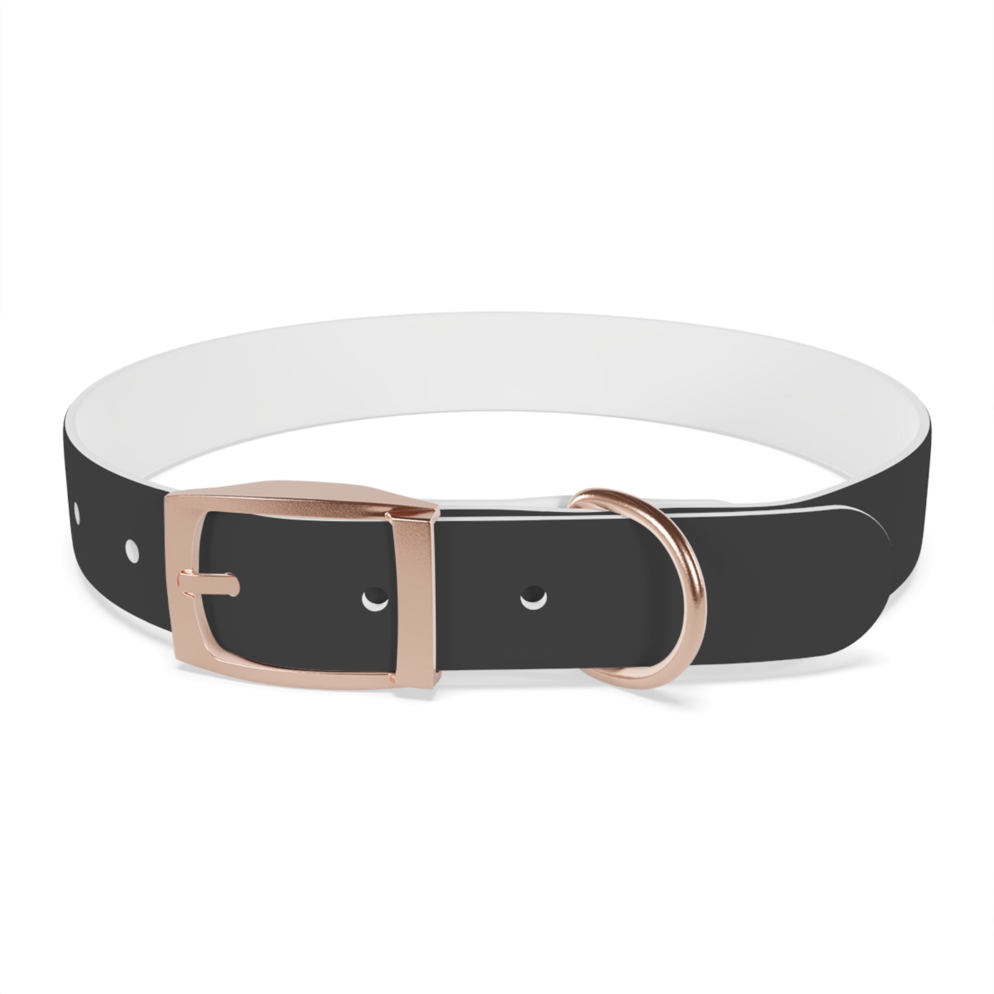 Personalized Dachshund Dog Collar | Custom Name Pet Collar | Sausage Dog Gift