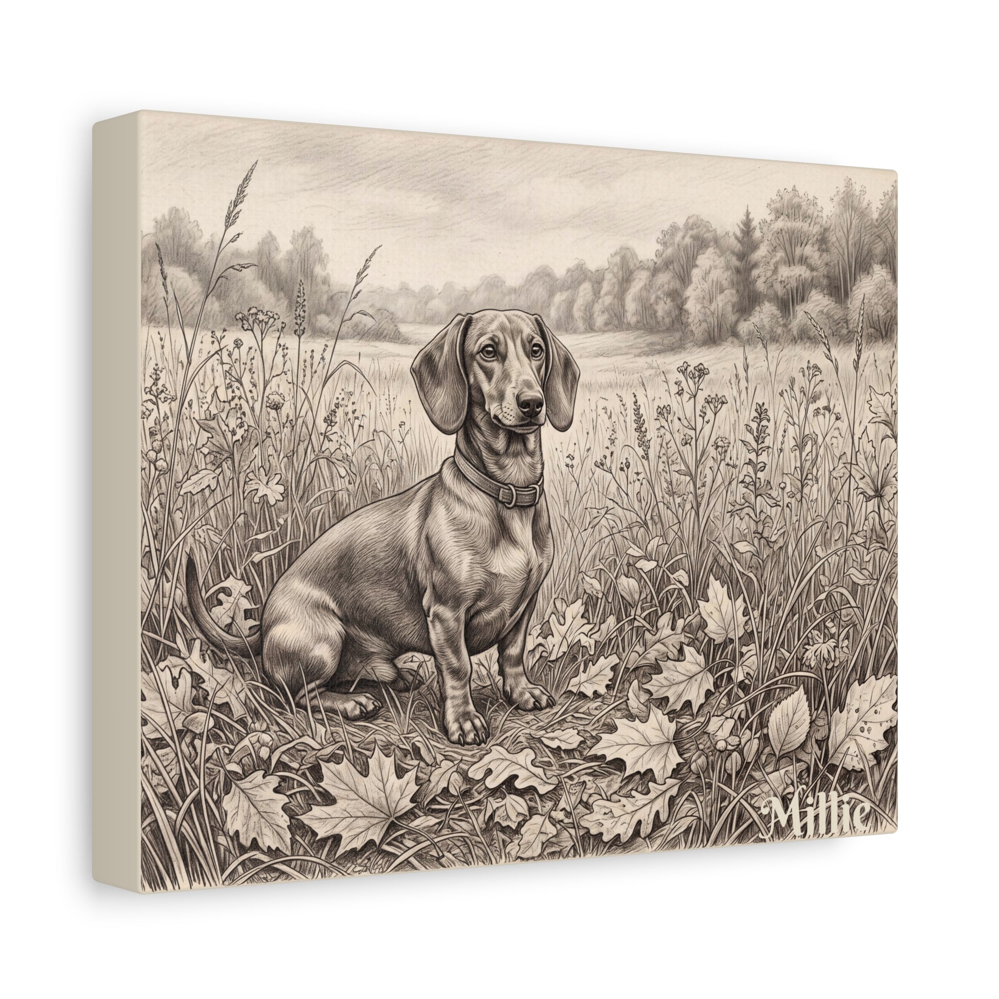 Dachshund Countryside Sketch Personalized Canvas | Autumn Meadow Wall Art