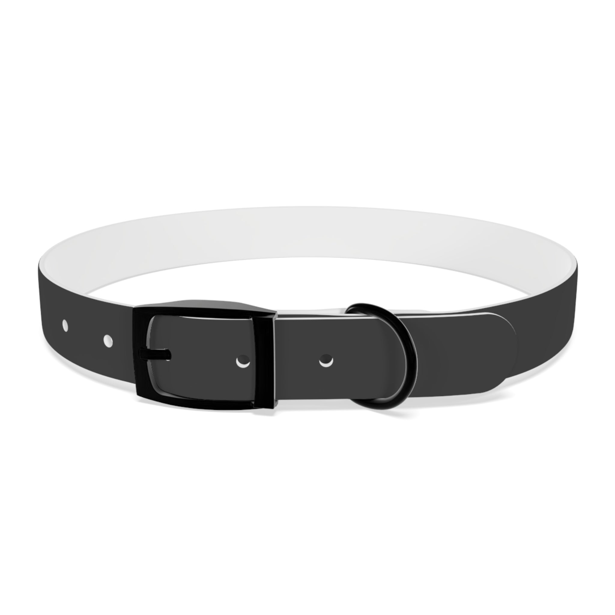 Personalized Dachshund Dog Collar | Custom Name Pet Collar | Sausage Dog Gift