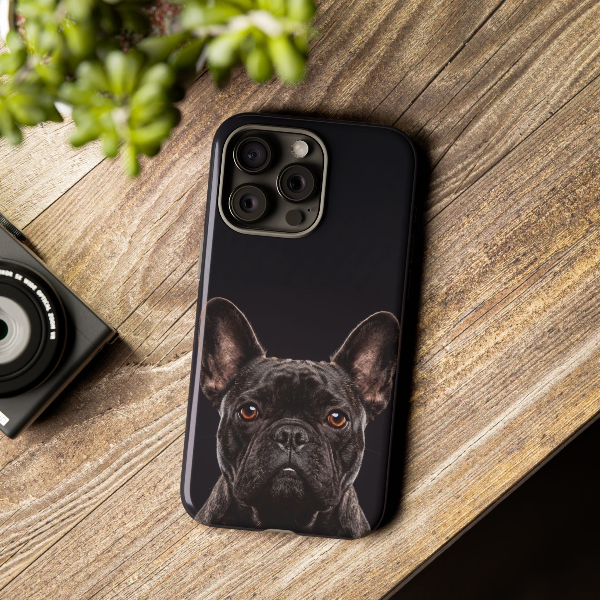 Front-Facing French Bulldog Phone Case | Dramatic Black Studio Portrait | Samsung & iPhone