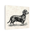 Dachshund Vintage Illustration Matte Canvas Wall Art